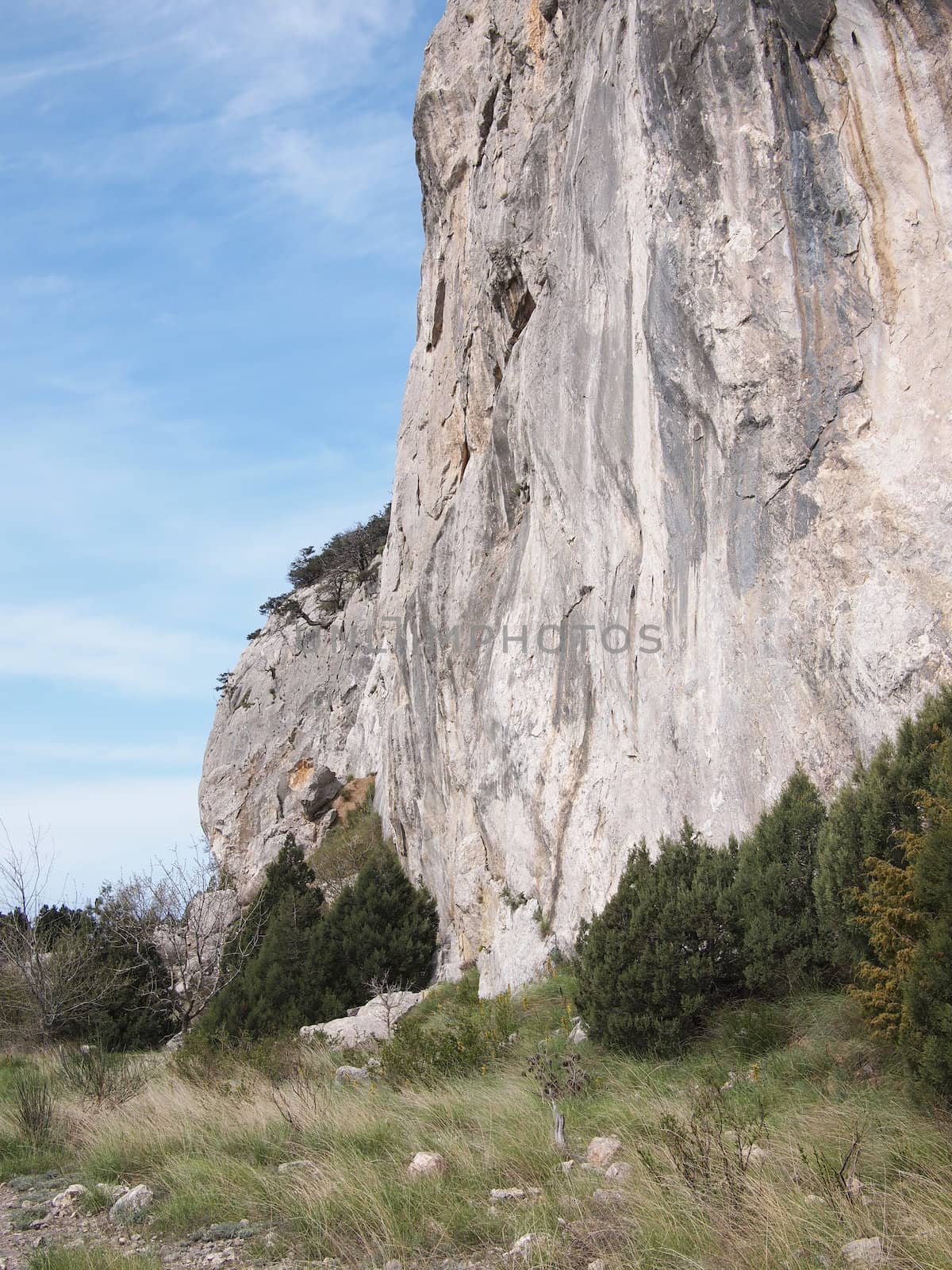 trees, sky and rock