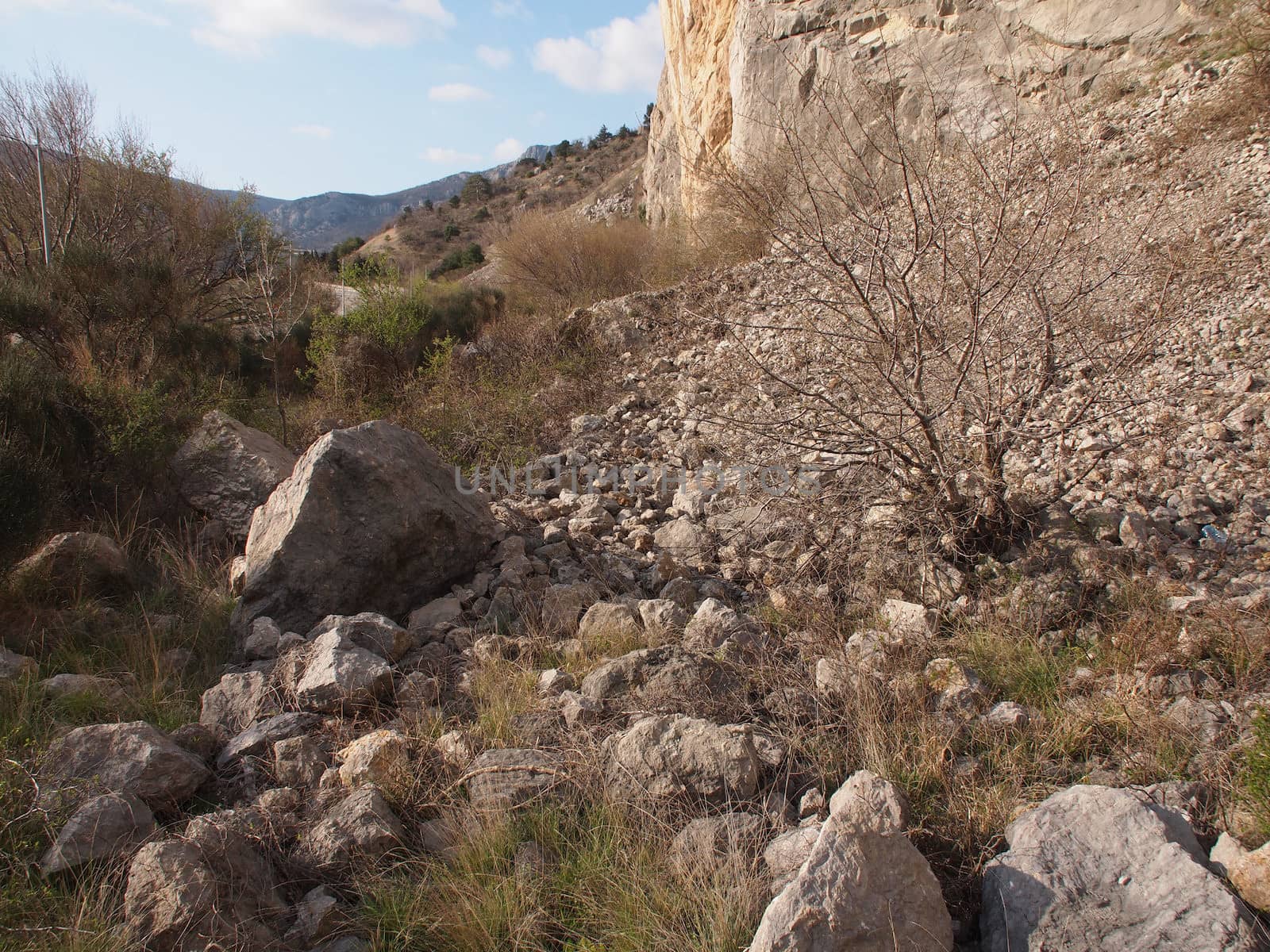 trees, sky and rock