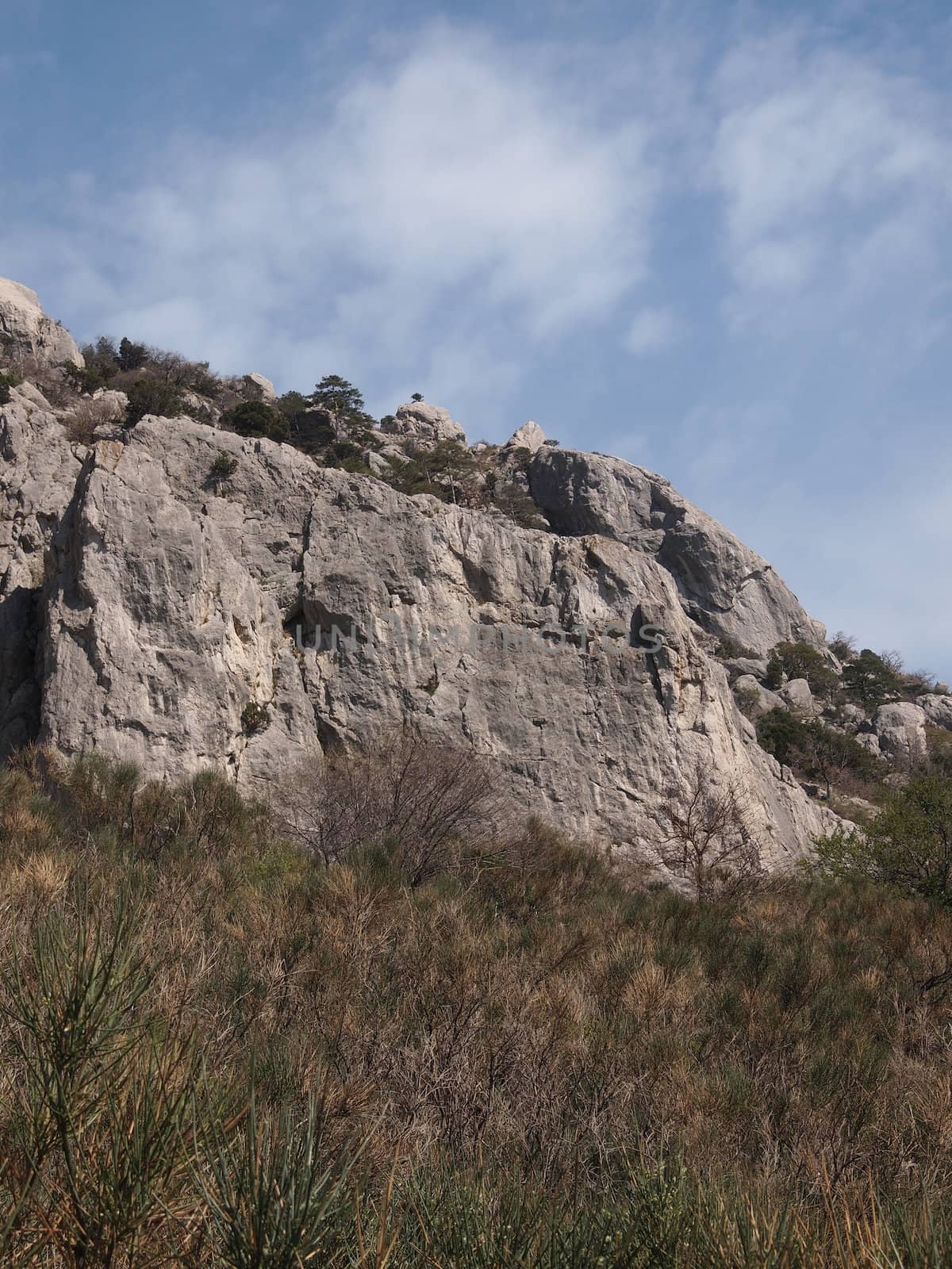 trees, sky and rock 