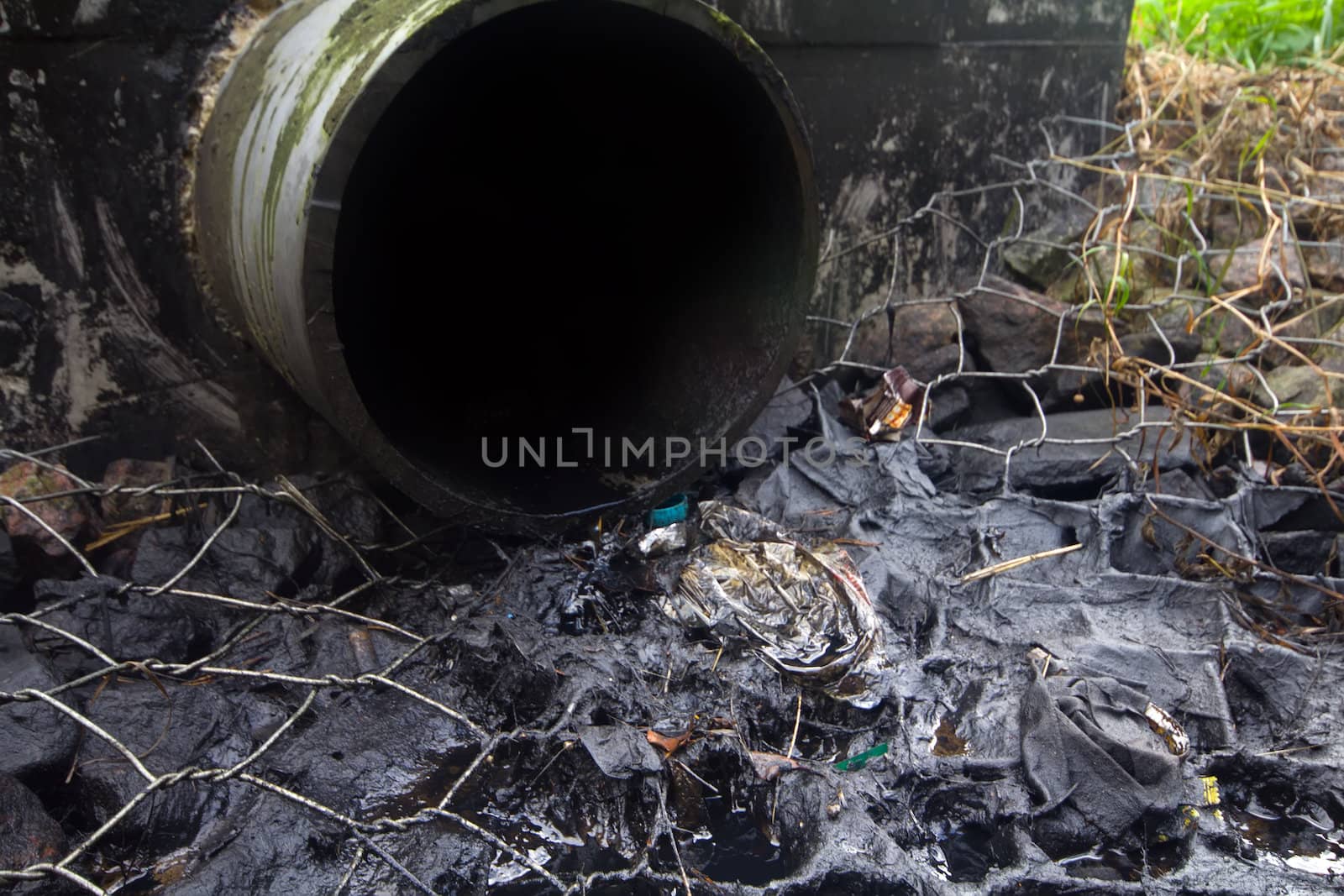 engine oil follows from a pipe in the wood