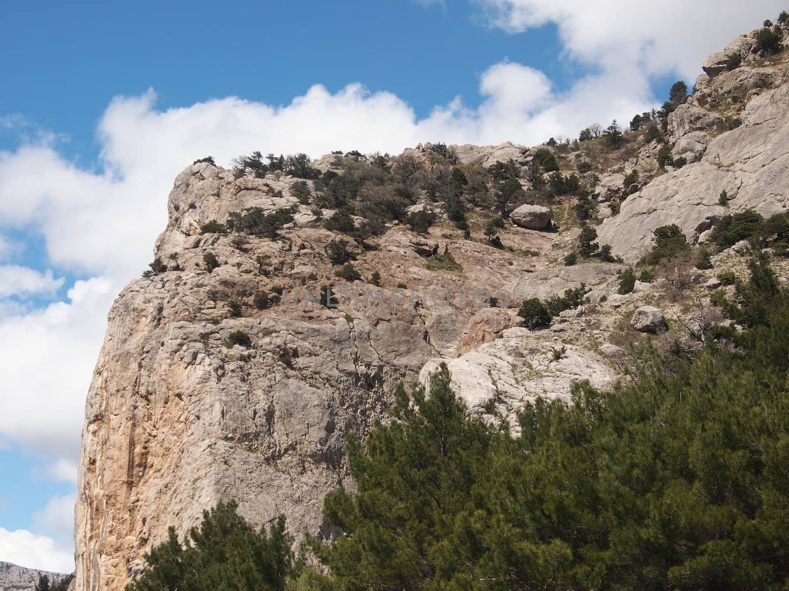 trees, sky and rock 