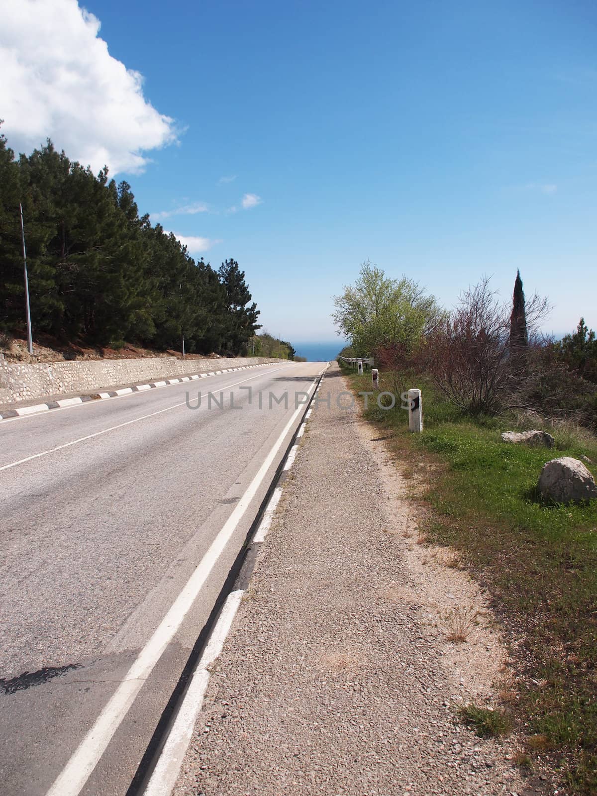 Road, sky and trees