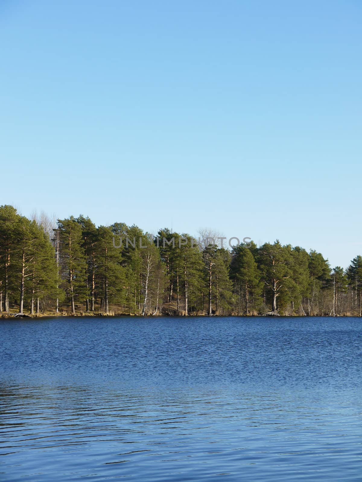 Coast of lake in the autumn