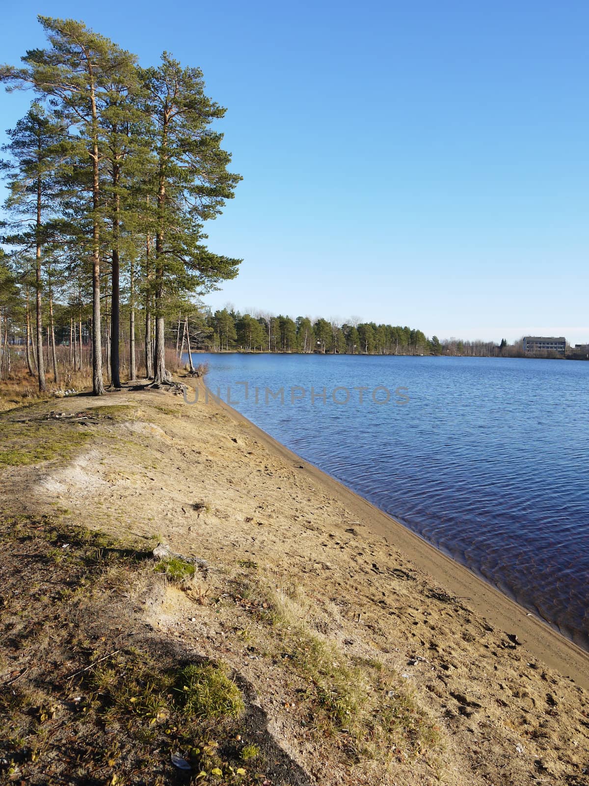 Coast of lake in the autumn