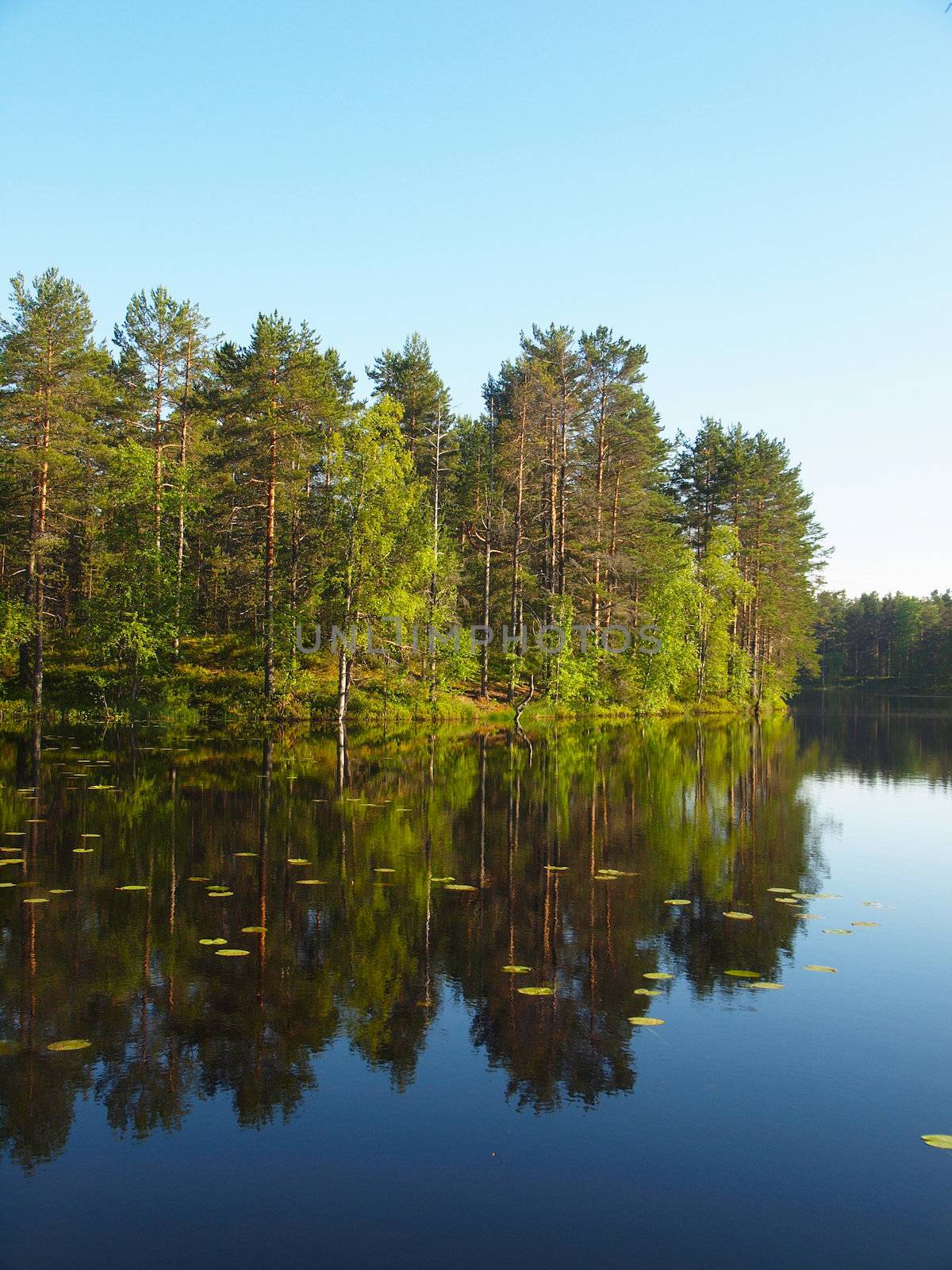 Beautiful lake in the north of Karelia, Russia      