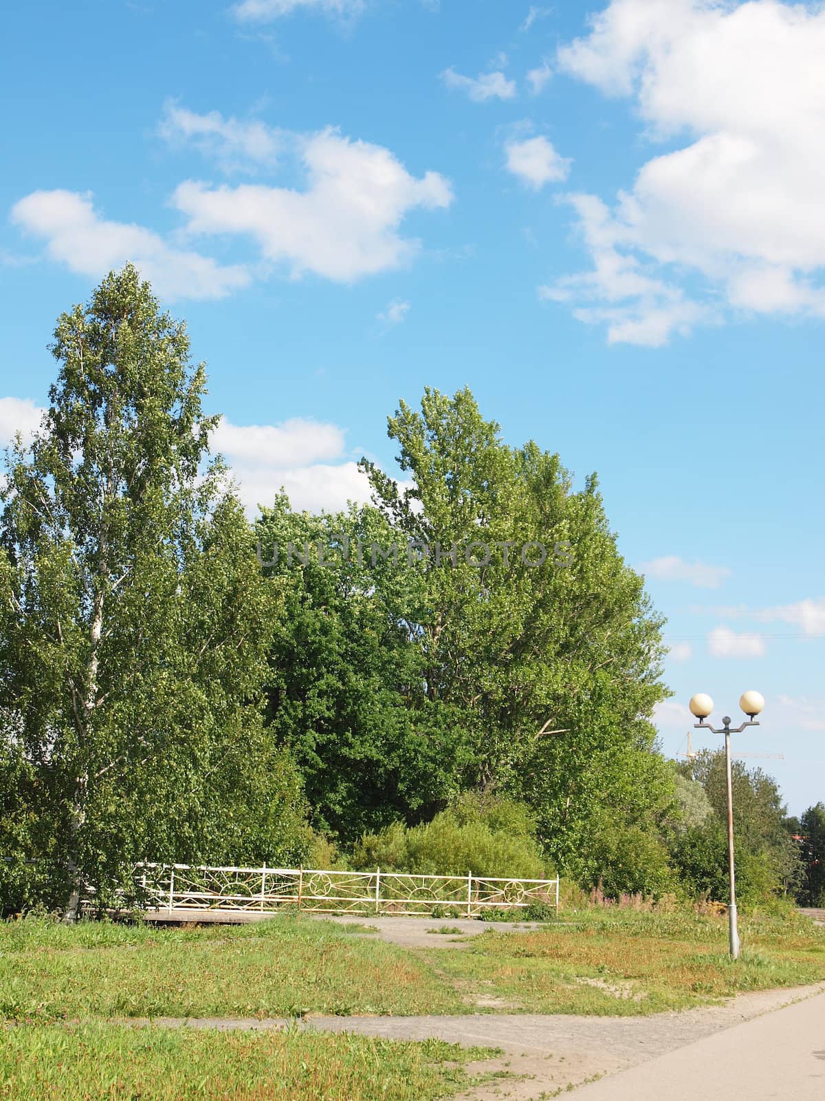 The bridge above the river in park        