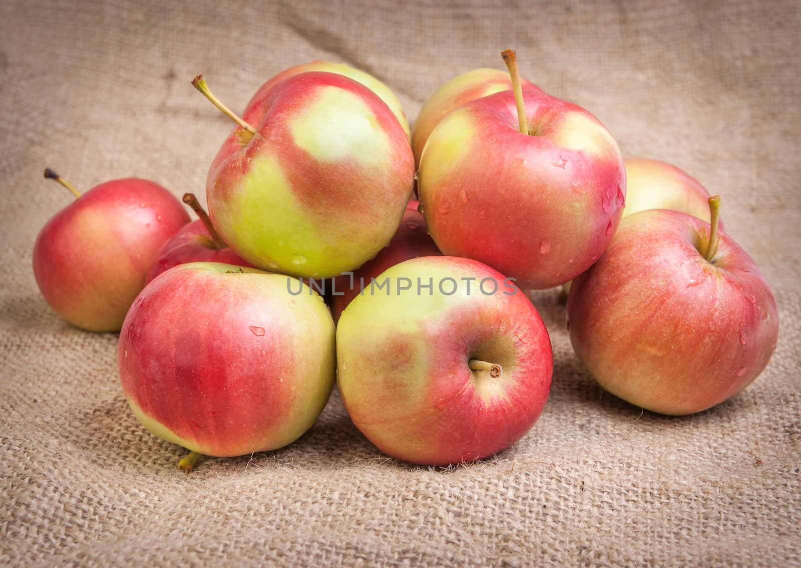 Still life with apples on burlap background by Zhukow