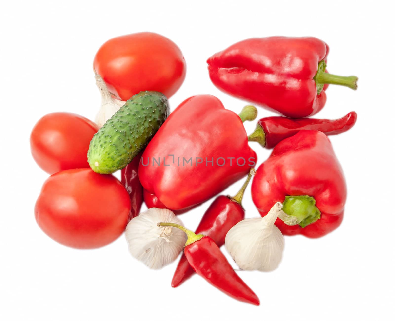 vegetables scattered on the white background