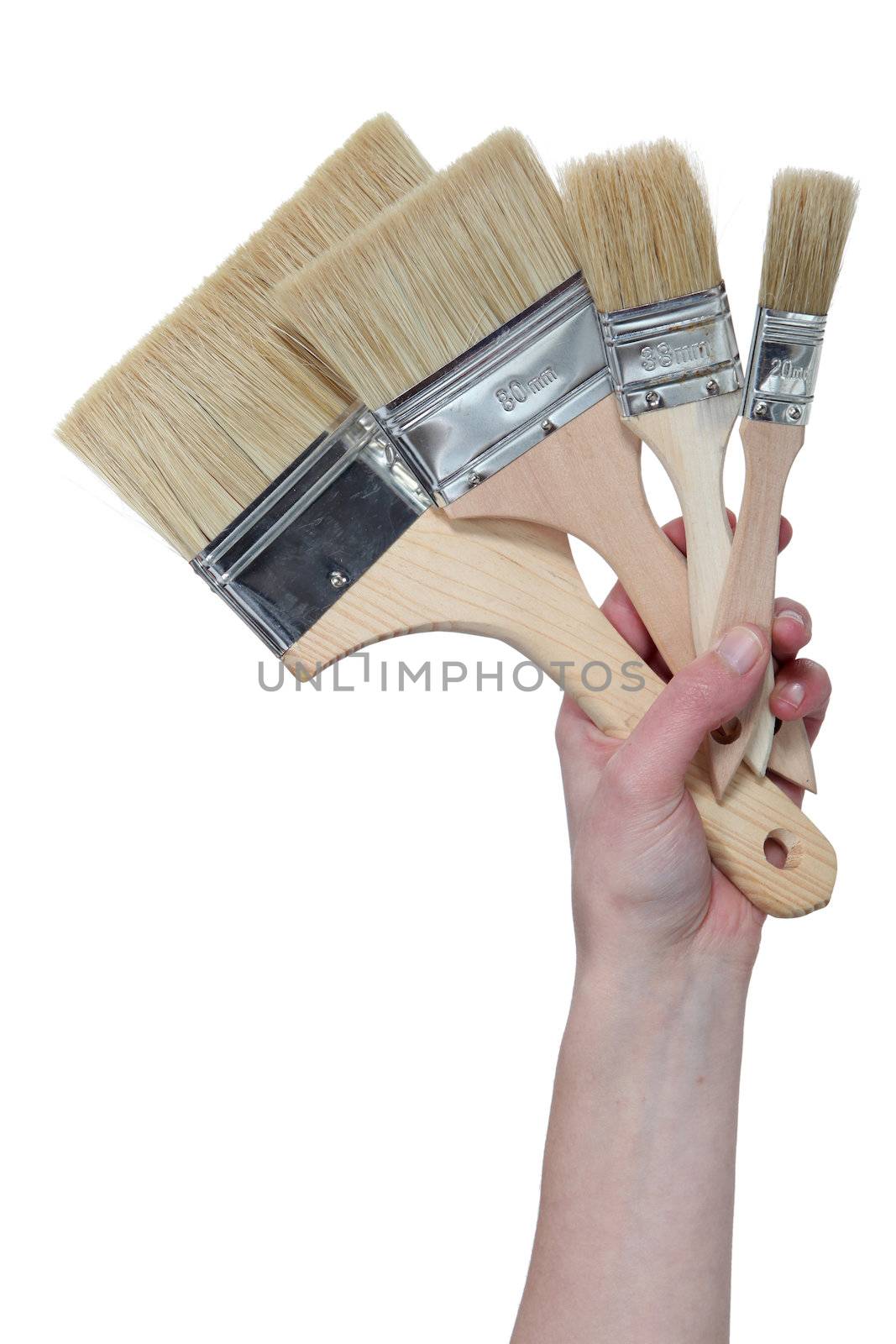 A set of paintbrushes