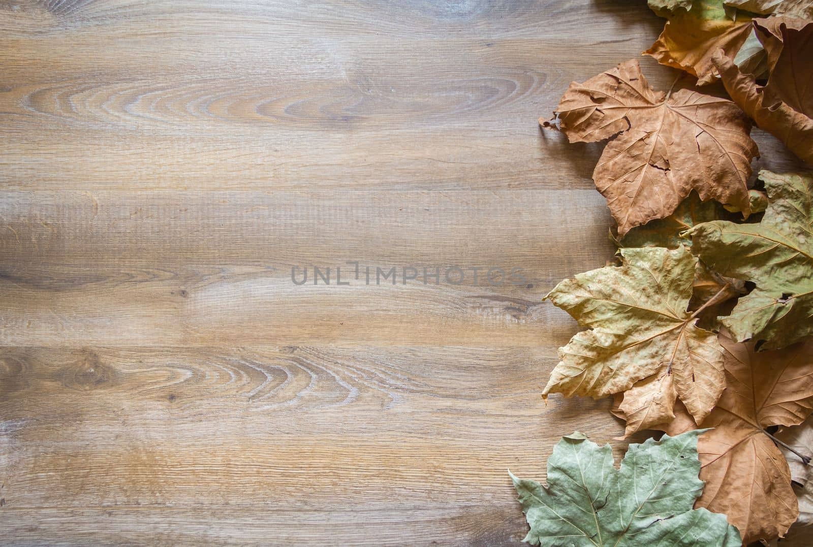 Autumn leaves background by doble.d