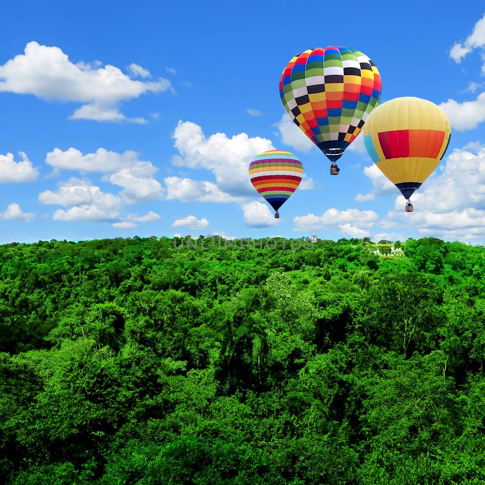 Hot air balloons over the forest with blue sky