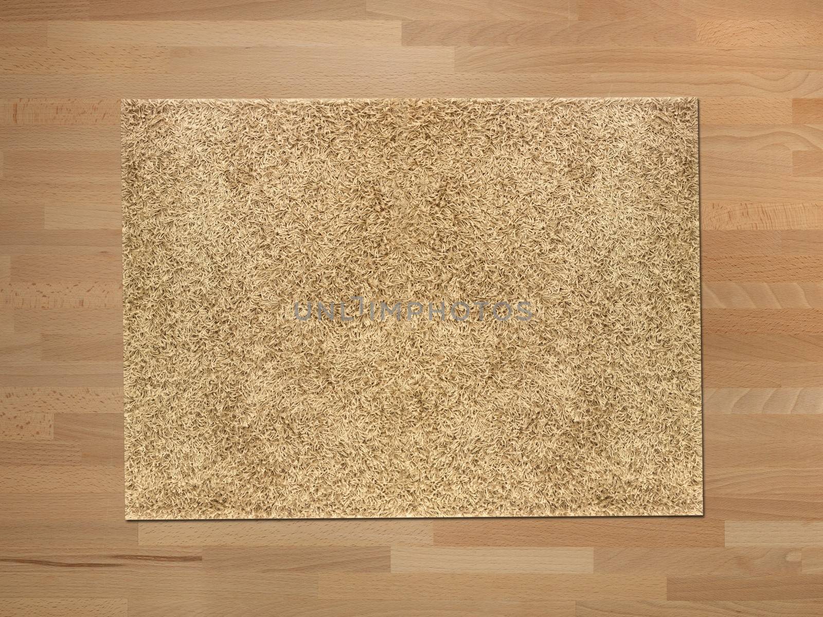 Floor Rug by Kitch