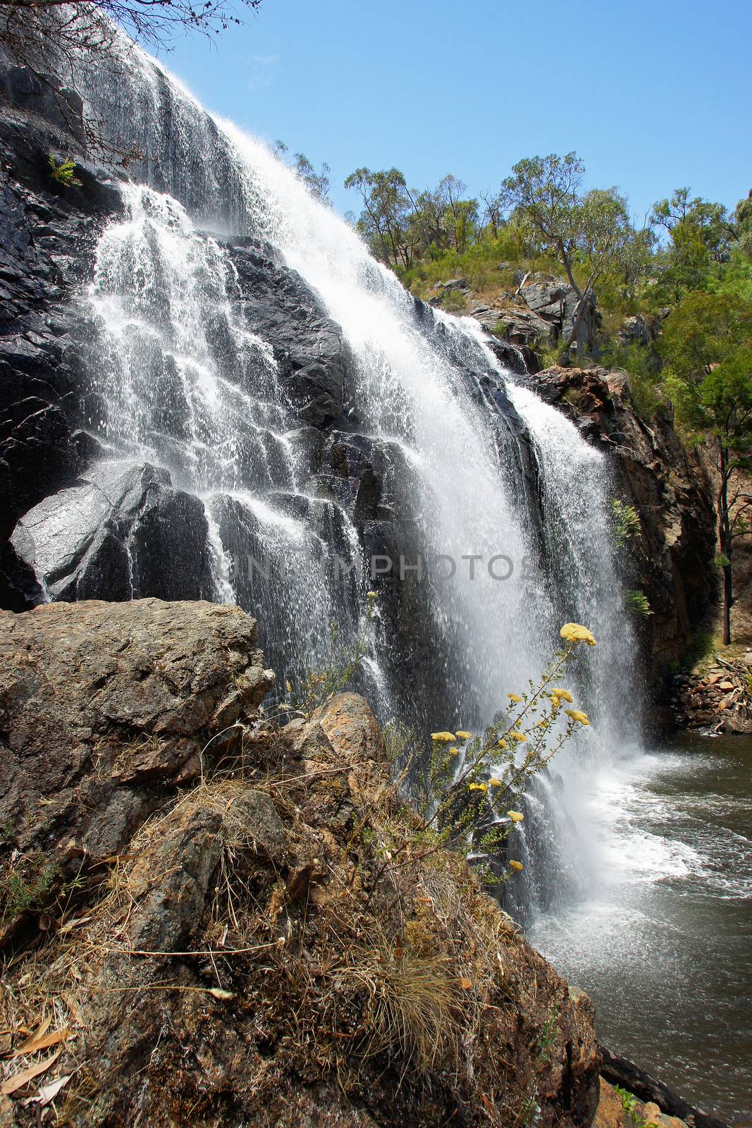 McKenzie Falls, Grampians National Park, Australia by alfotokunst