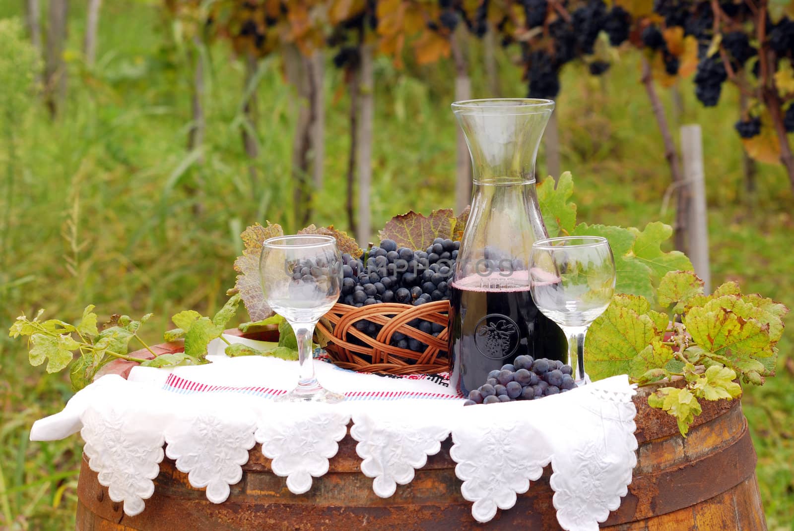 red wine and grape autumn season