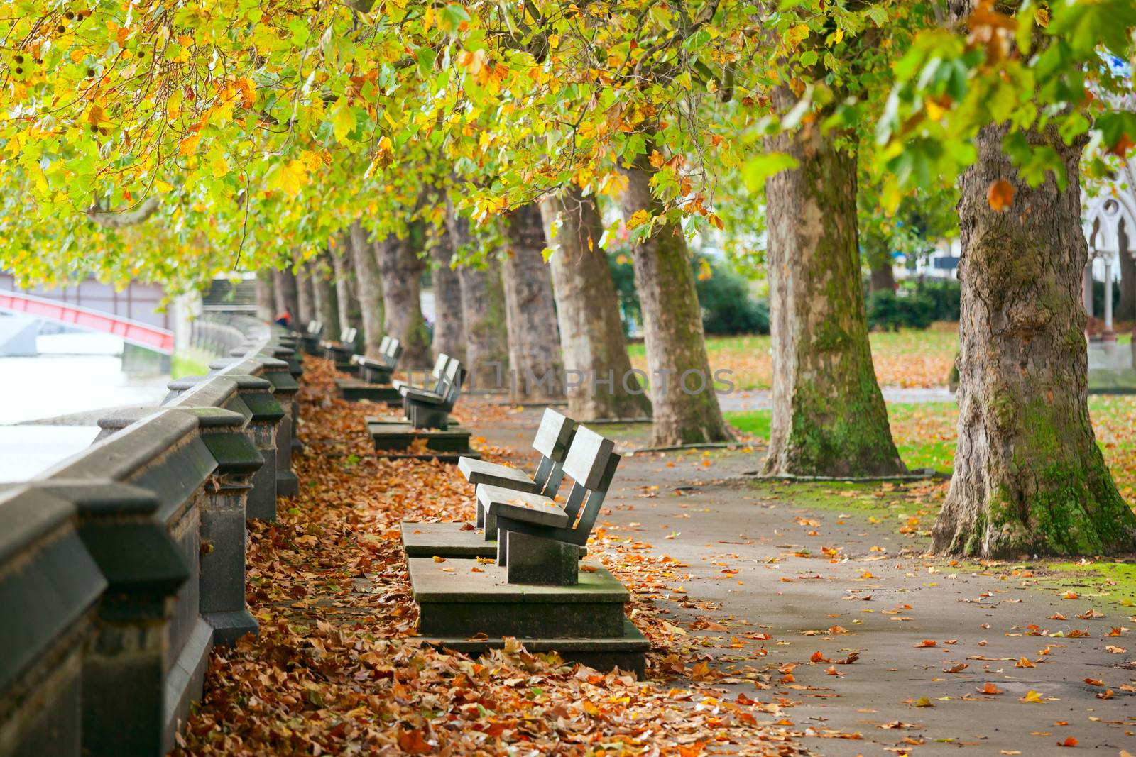 Benches on the Thames in Victoria Tower Gardens park in London