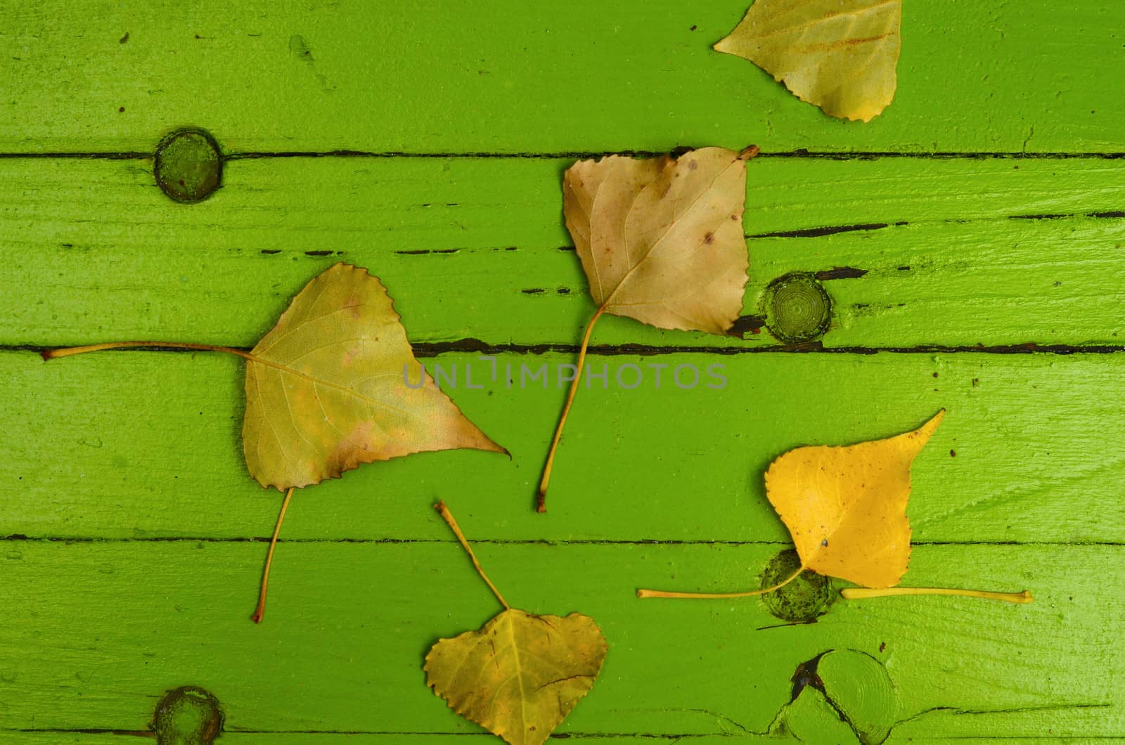 Autumn Leaves by mrdoomits