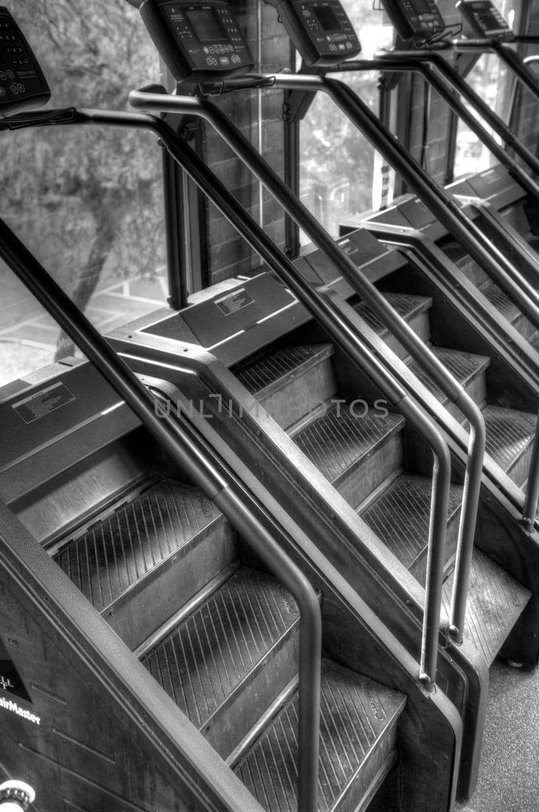 Black and white image a row of stair step machines at a commercial gym