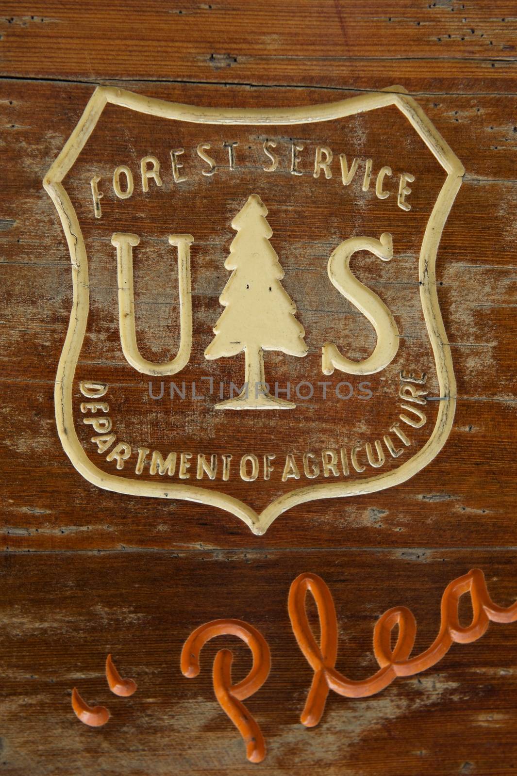 Distressed wooden sign with carved US Forest Service and Department of Agriculture logo at a camp site.