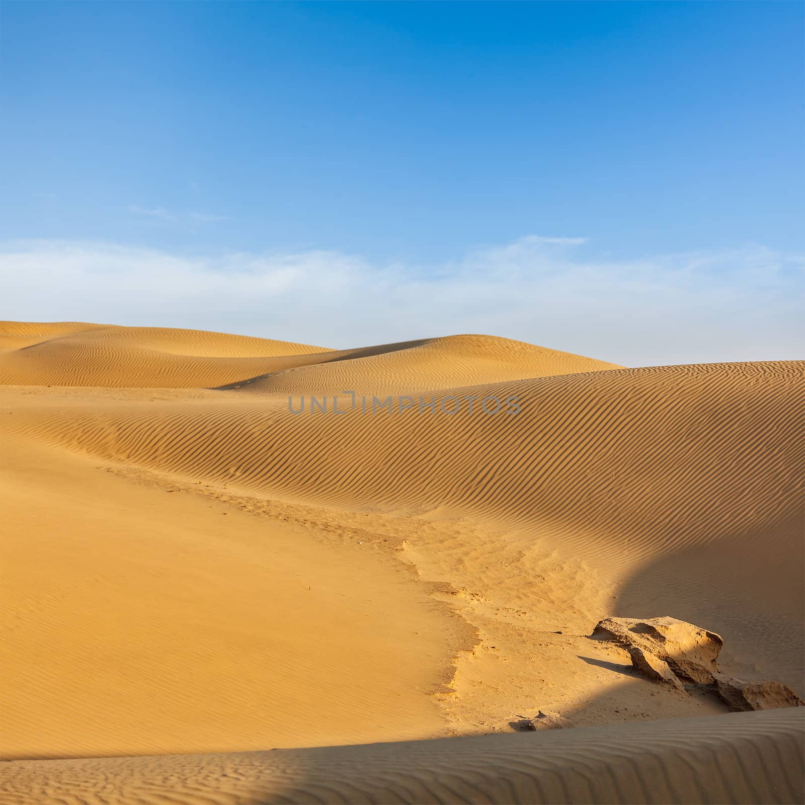 Dunes of Thar Desert, Rajasthan, India by dimol