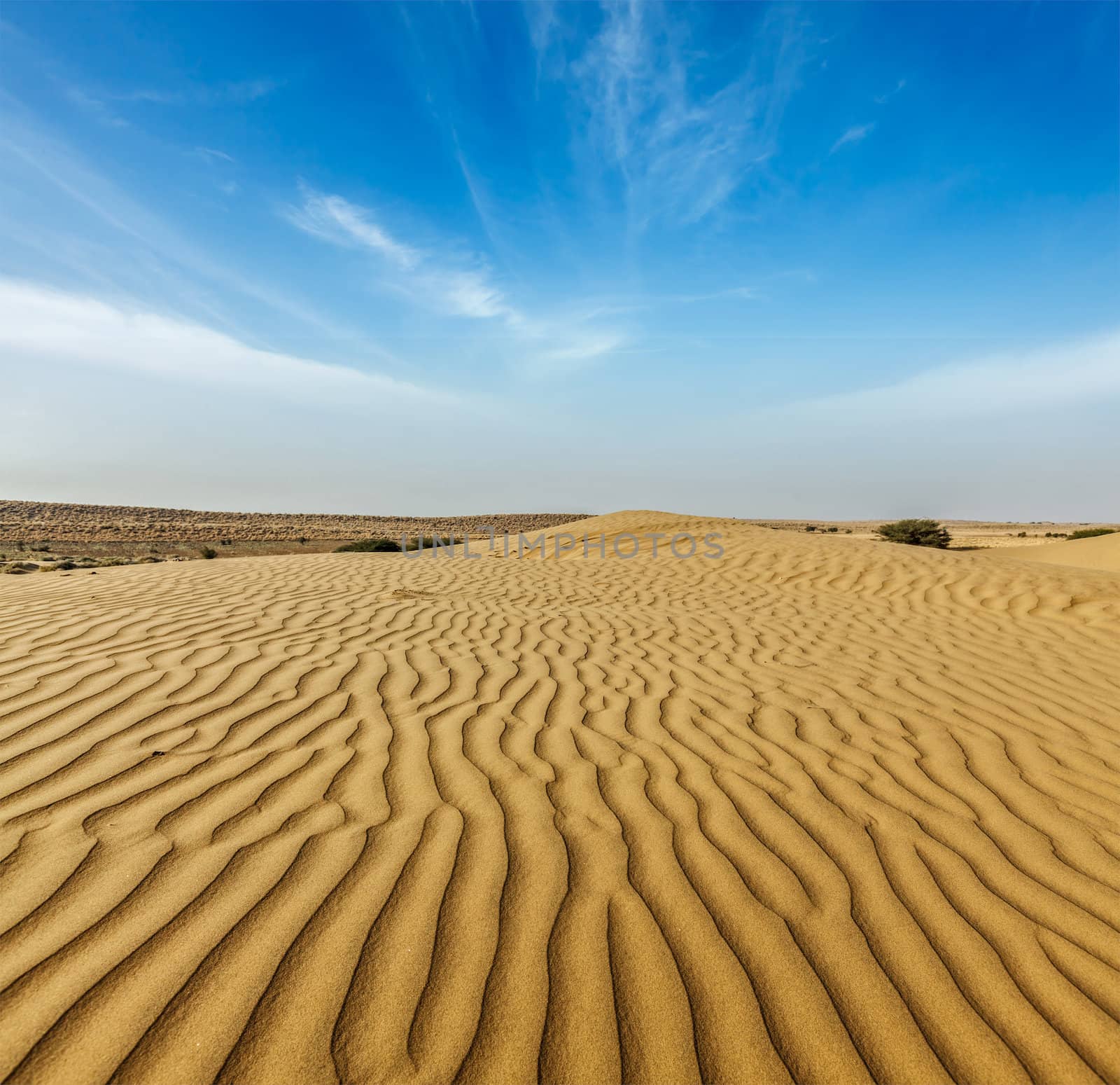 Dunes of Thar Desert. Sam Sand dunes, Rajasthan, India