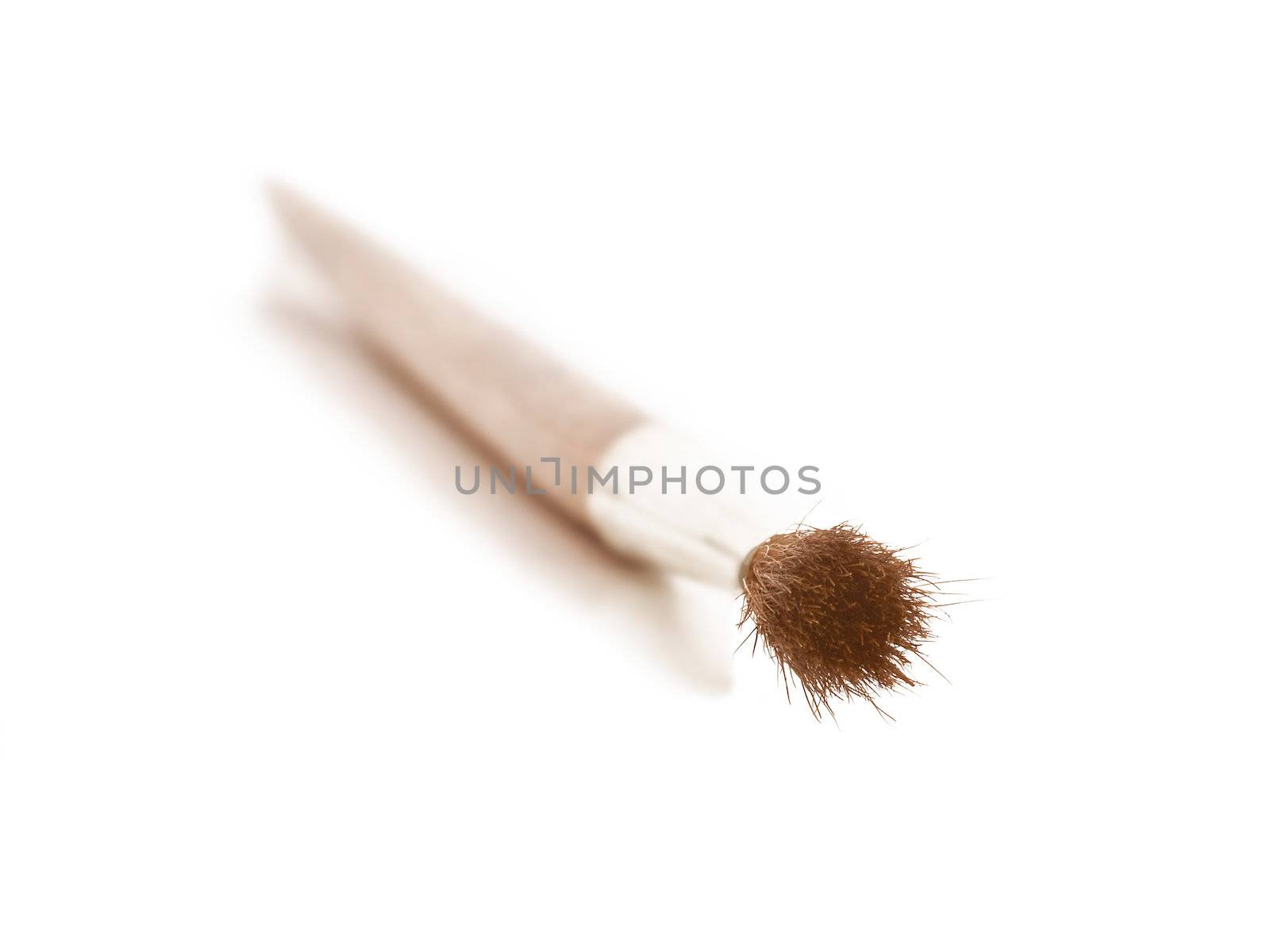 paint brush isolated on white background