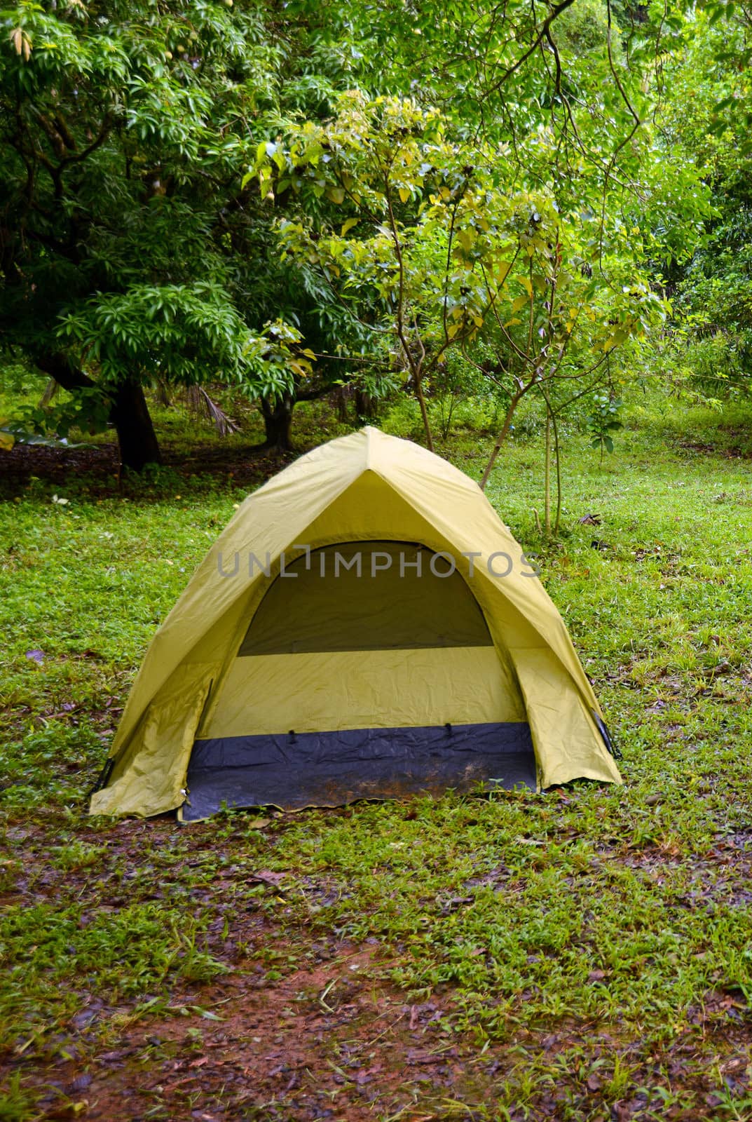 outdoor tent by ftlaudgirl