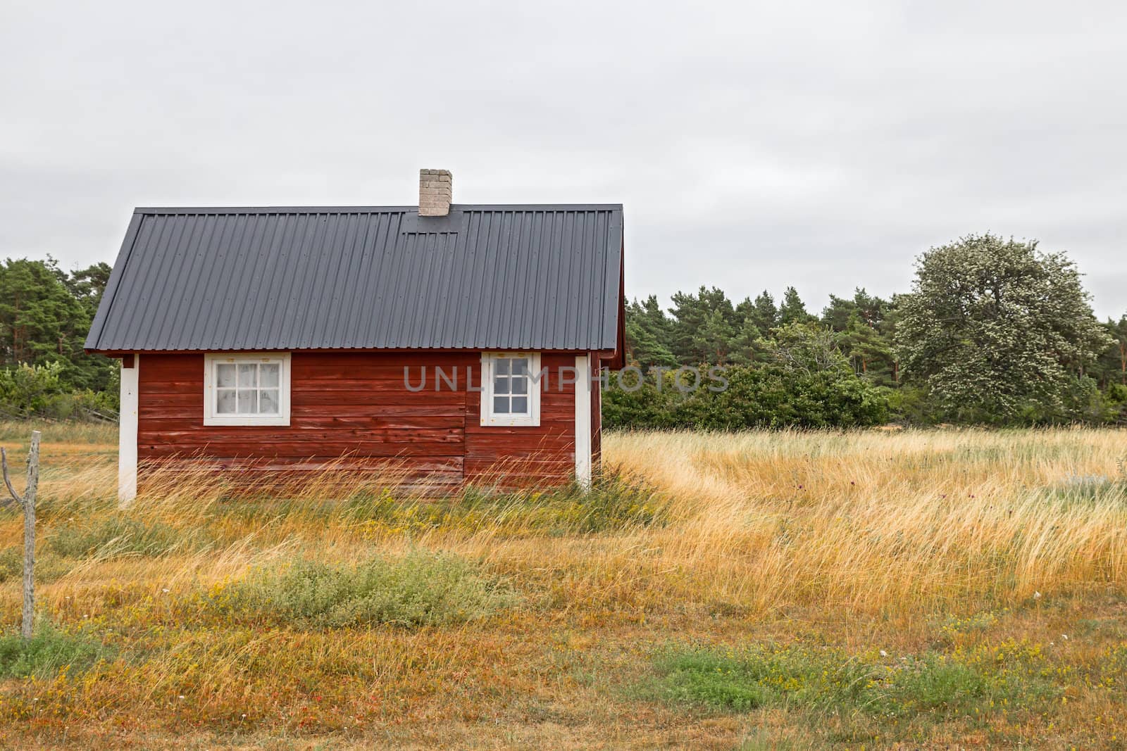 Traditional Swedish house on the island of Gotland.