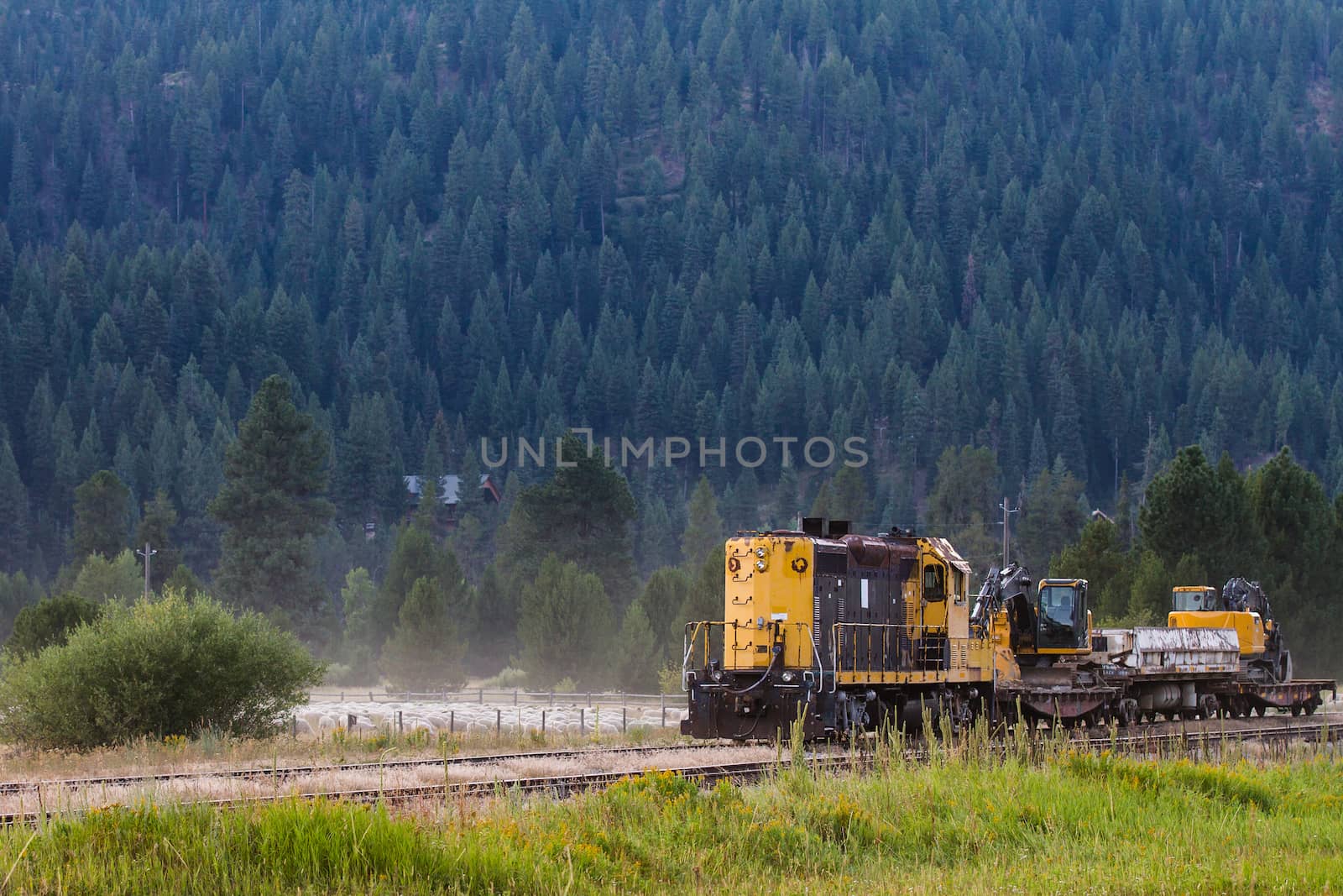 Black and yellow train with the forest on a mountain as a background.
