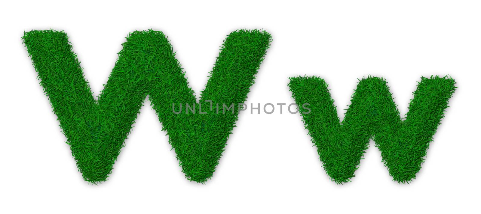 Illustration of capital and lowercase letter W made of grass