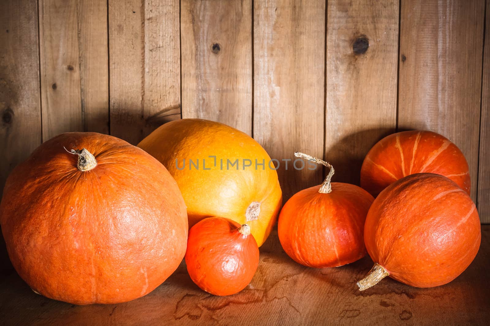 Pumpkins on grunge wooden backdrop background by ryhor