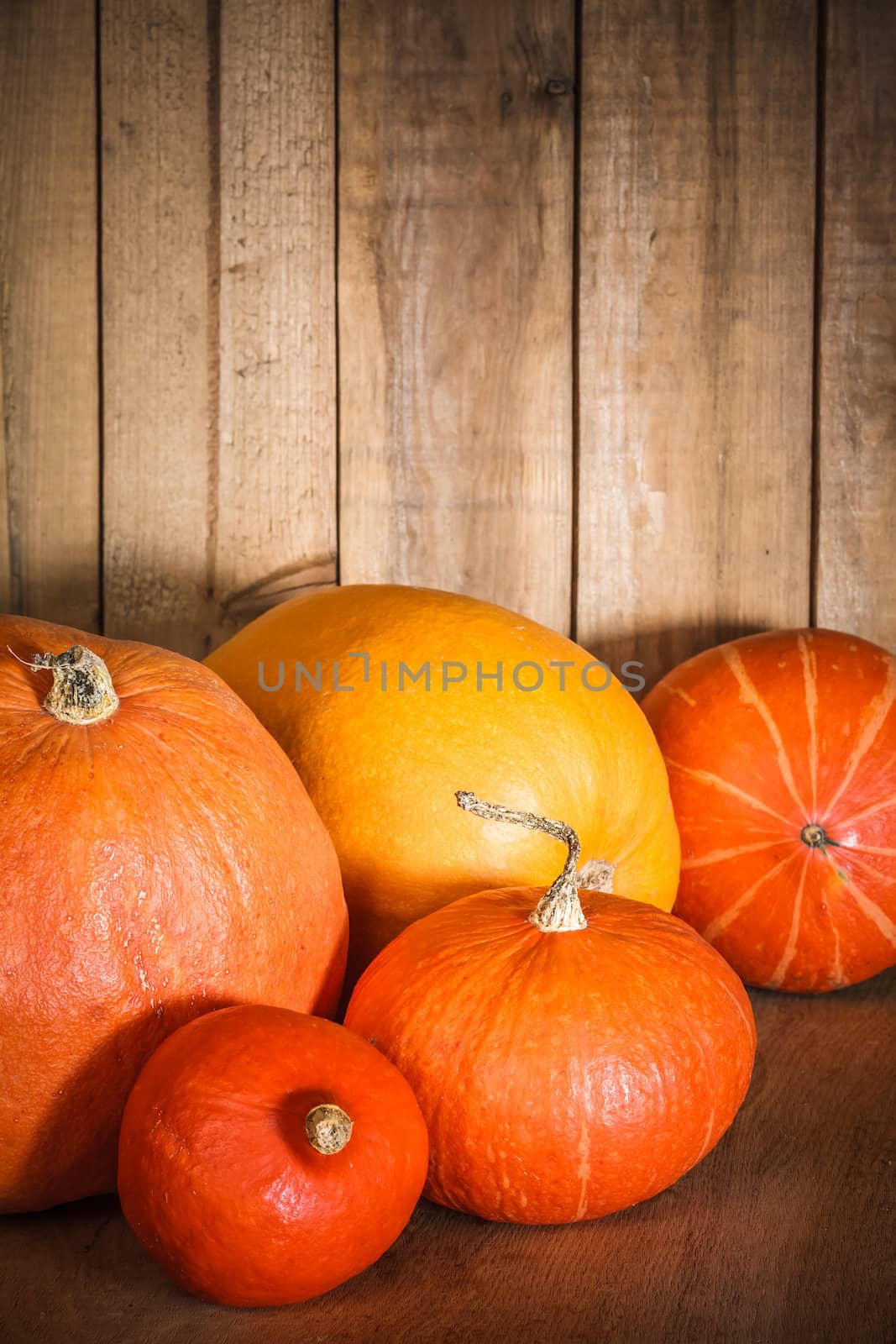 Pumpkins on grunge wooden backdrop background by ryhor