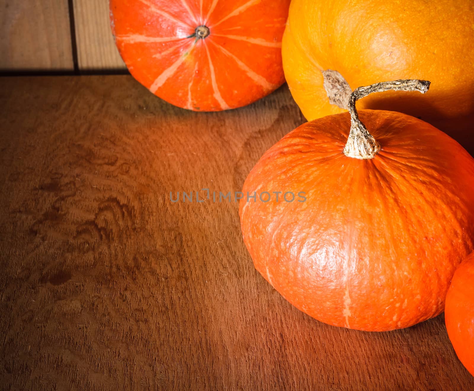 Pumpkins on grunge wooden backdrop, background table. Autumn, halloween, pumpkin, copyspace