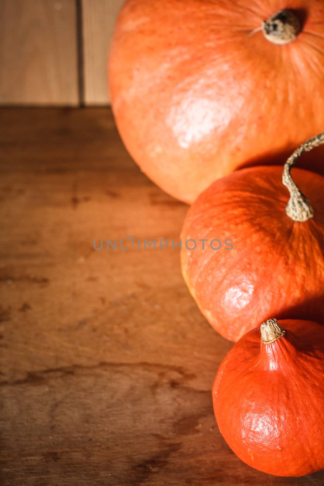 Pumpkins on grunge wooden backdrop, background table. Autumn, halloween, pumpkin, copyspace