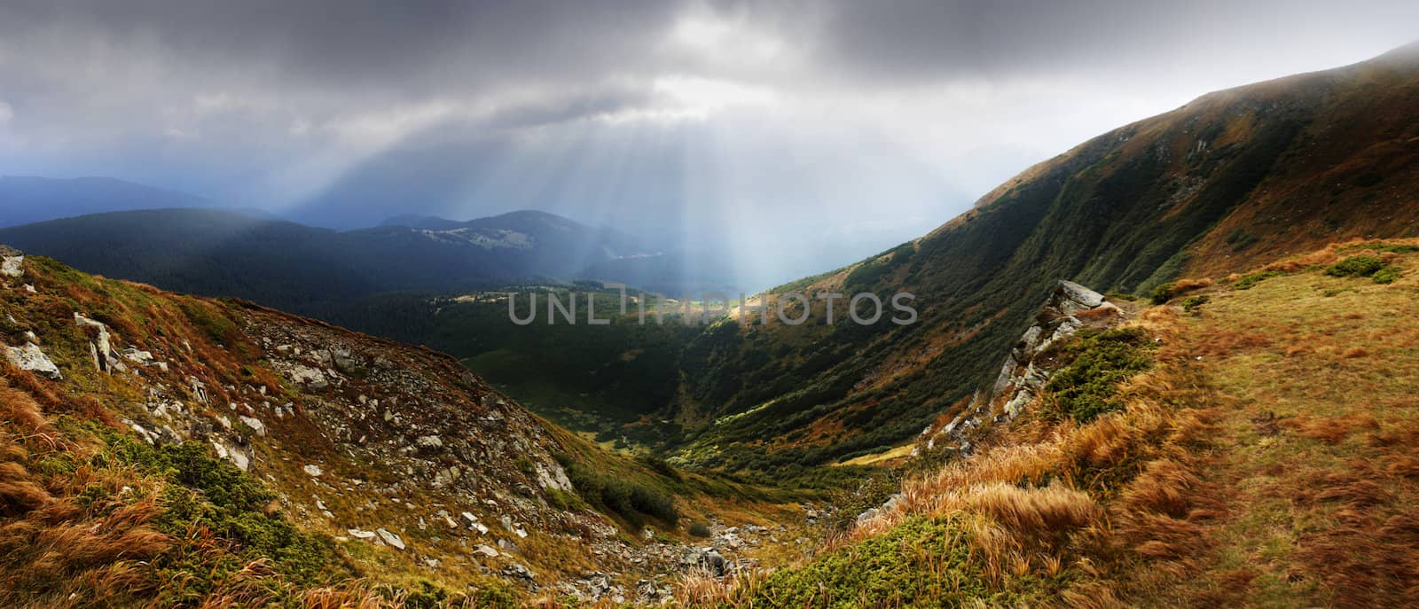 Autumn morning mountain plateau landscape (Carpathian, Ukraine)