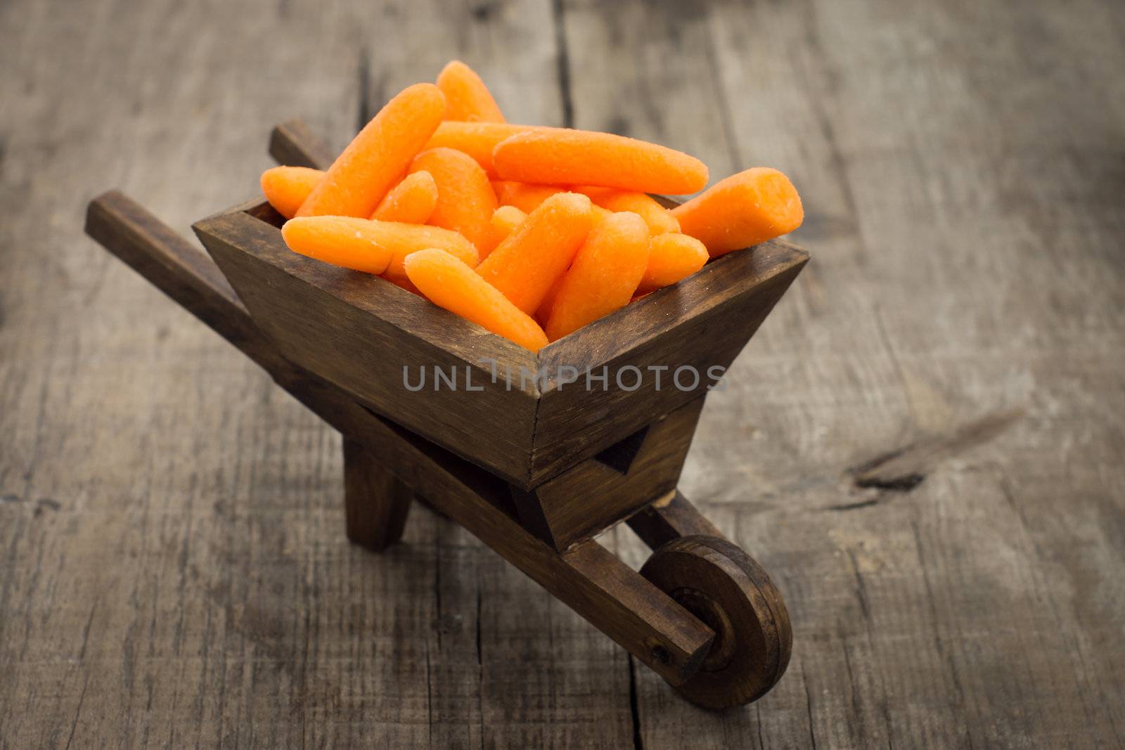 Fresh Carrots in a miniature wheelbarrow  by kbuntu