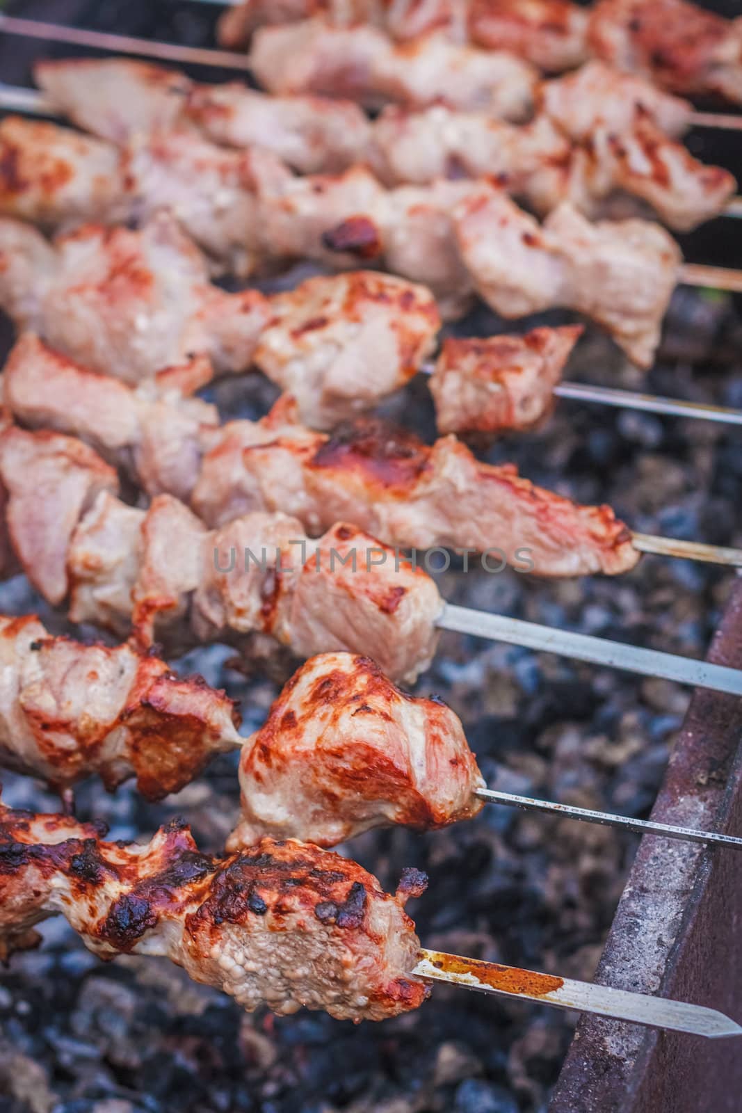 Juicy Slices Of Meat With Sauce Prepare On Fire (Shish Kebab, Shashlik).