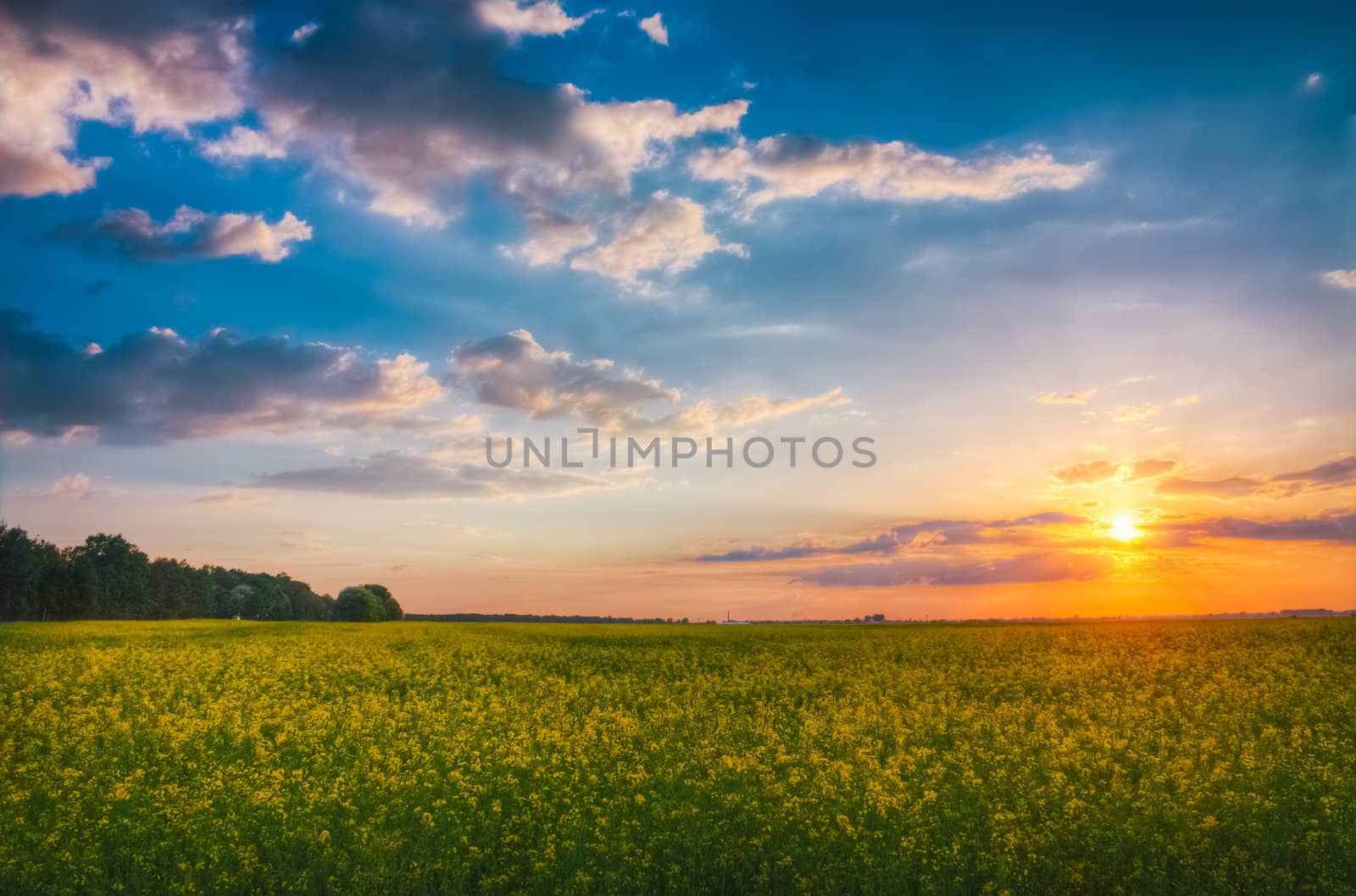 Green Field And Beautiful Sunset
