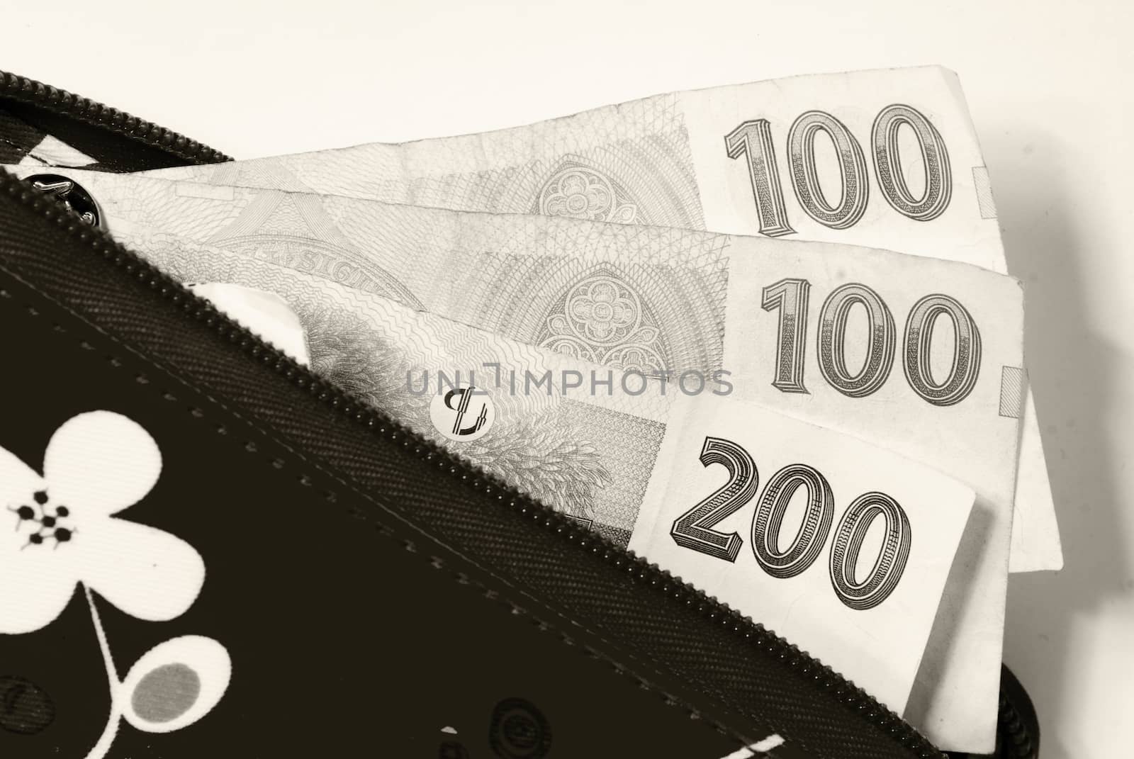 czech currency