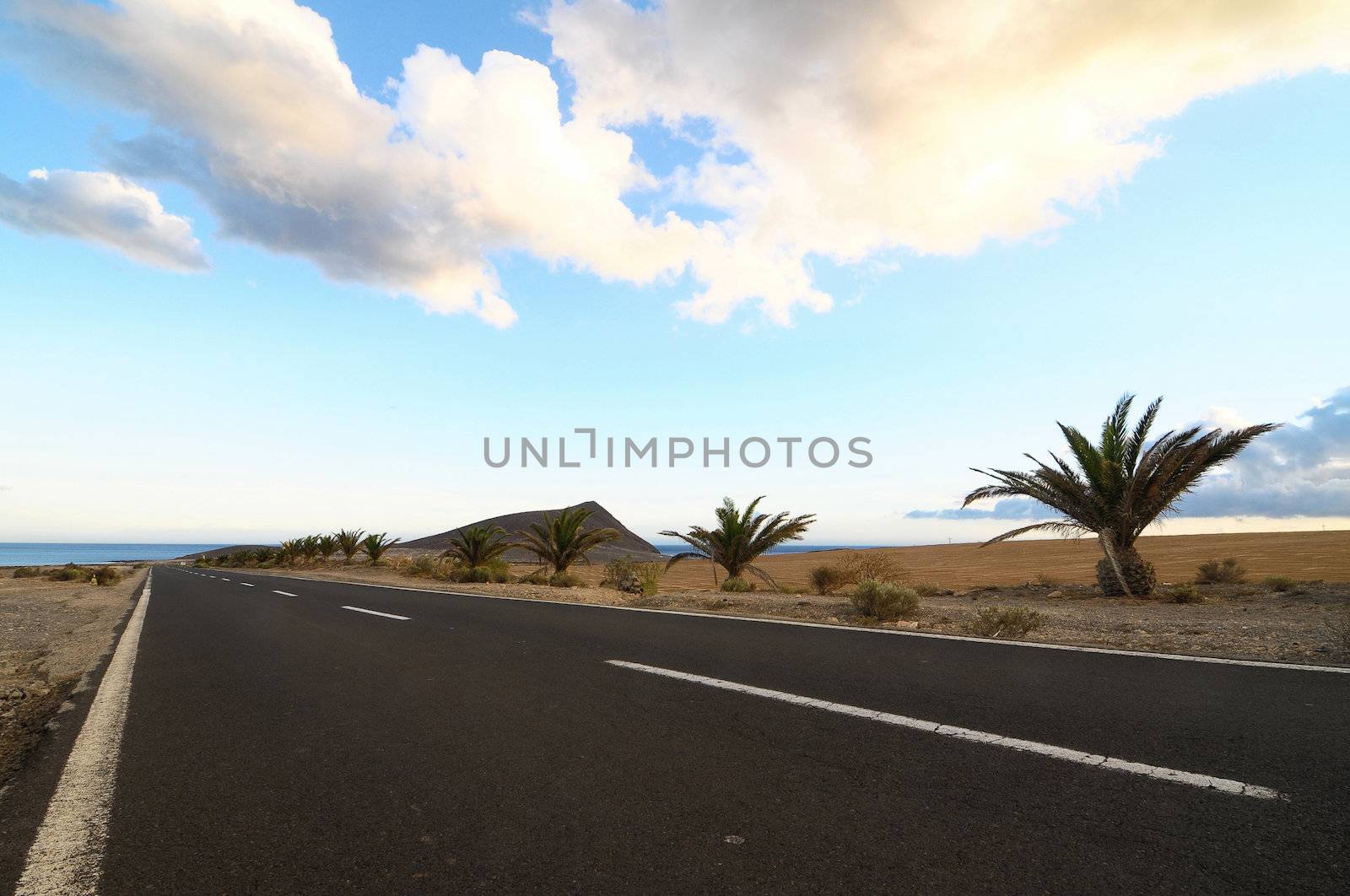 Lonely Road in the Desert by underworld