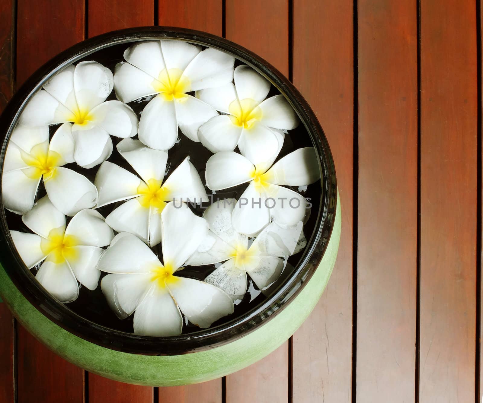 Frangipani flowers floating in the ancient bowl 