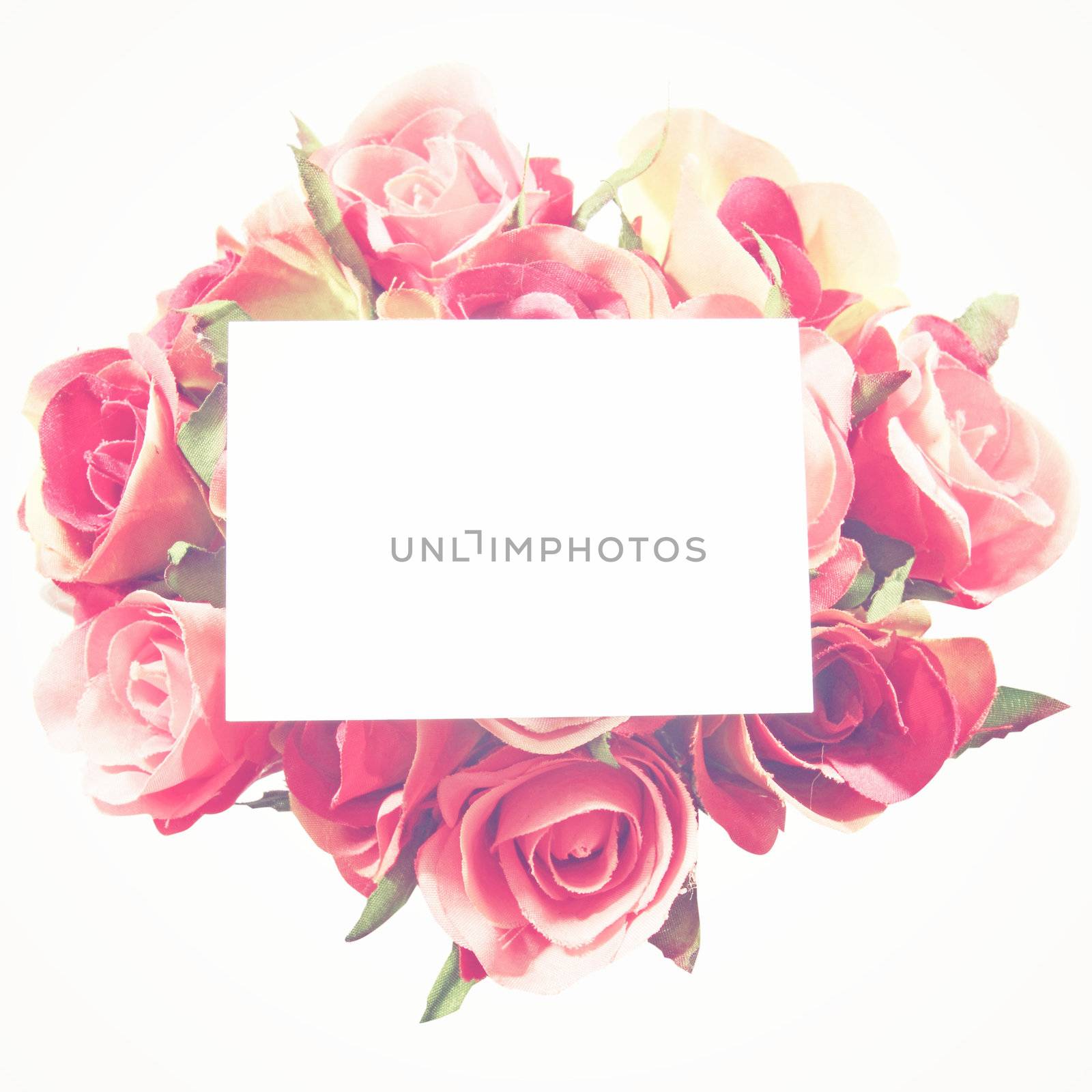 Blank card and rose with retro filter effect by nuchylee