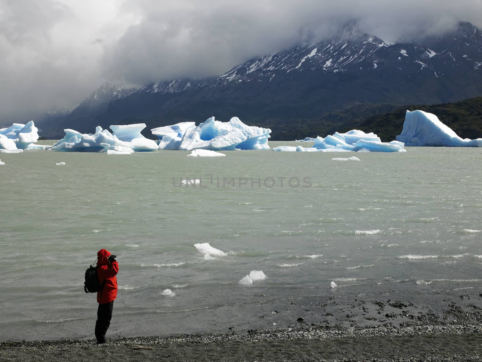 Icebergs in Largo Grey in Torres del Paine National Park in Patagonia in southern Chile. (Model Released)