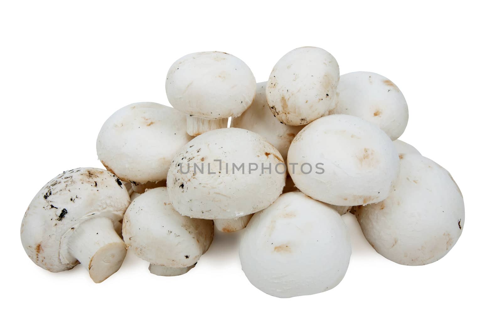 heap of fresh champignons isolated on white background