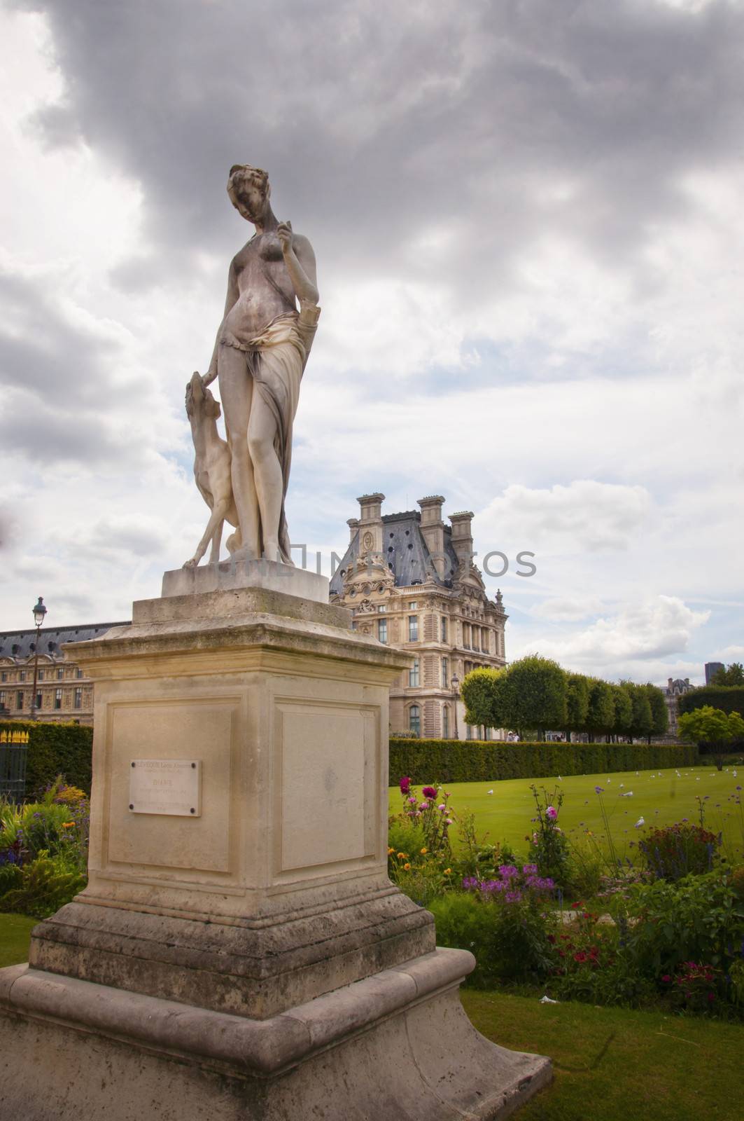 Jardin de Tuileries in Paris city by sognolucido