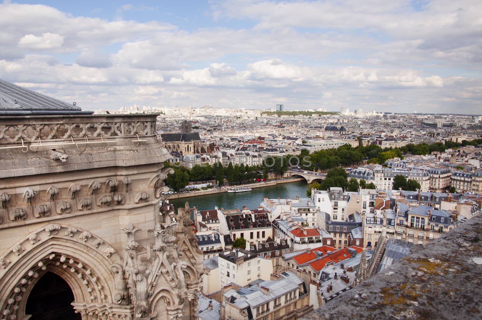 View of Paris city from Notre Dame Cathedral