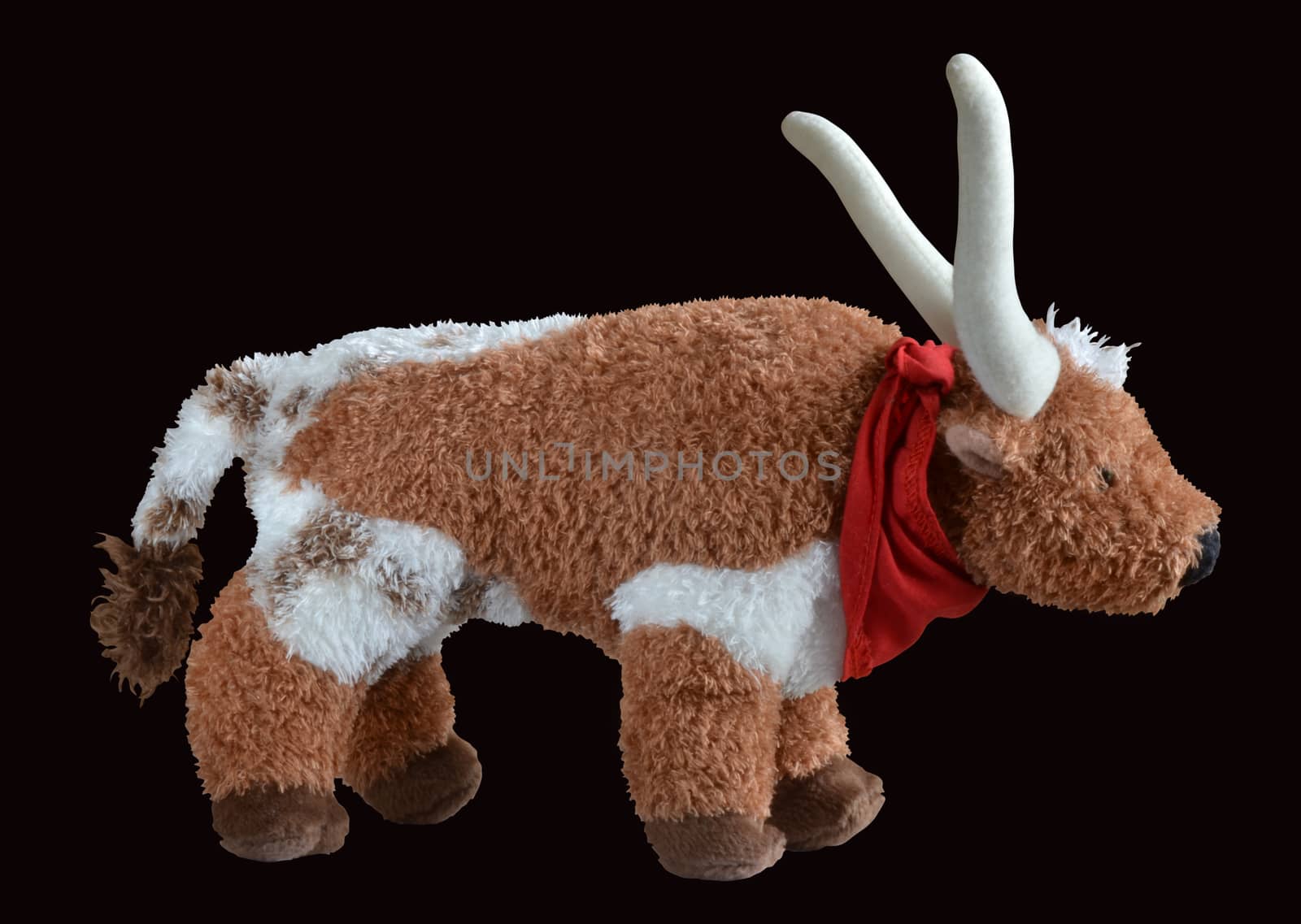 Soft toy bull animal with red shawl. Isolated with path on black.