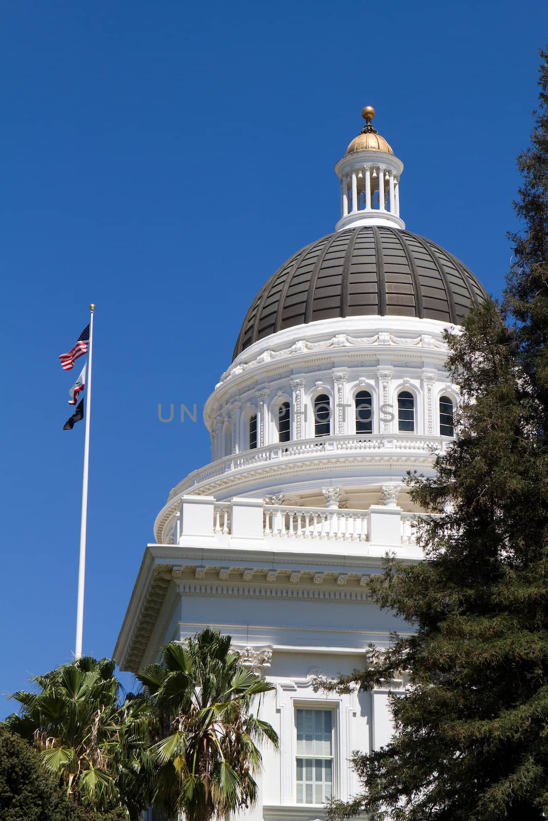 California state capitol dome and flags against a blue sky.