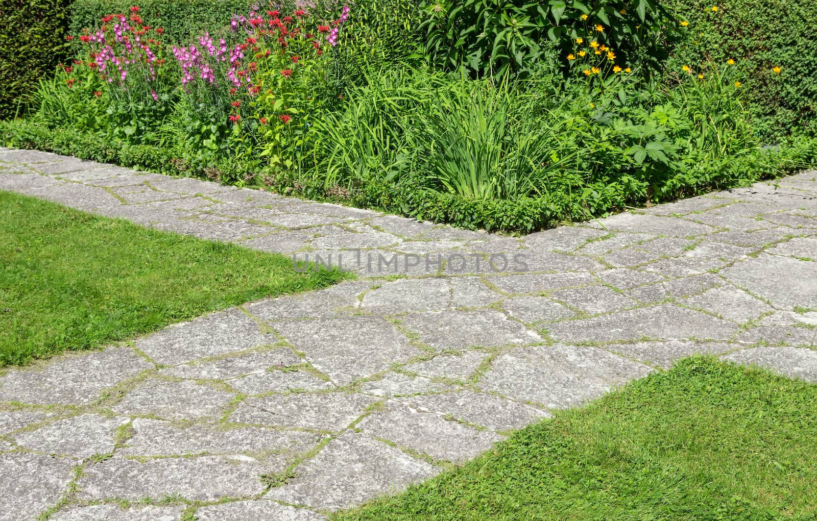 Stone paths crossing in a summer garden full of blooming flowers.