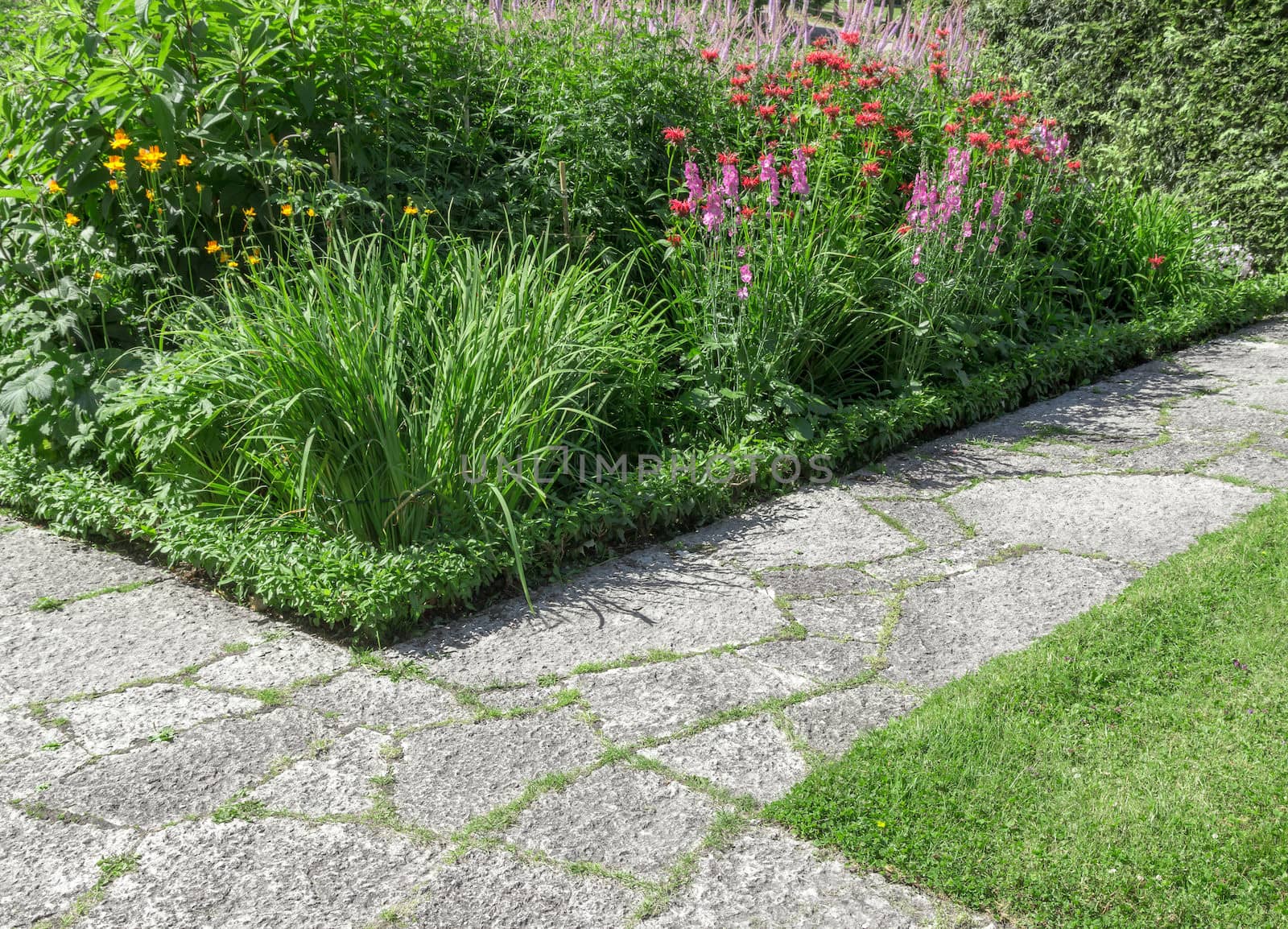 Stone paths crossing in a sunny summer garden.