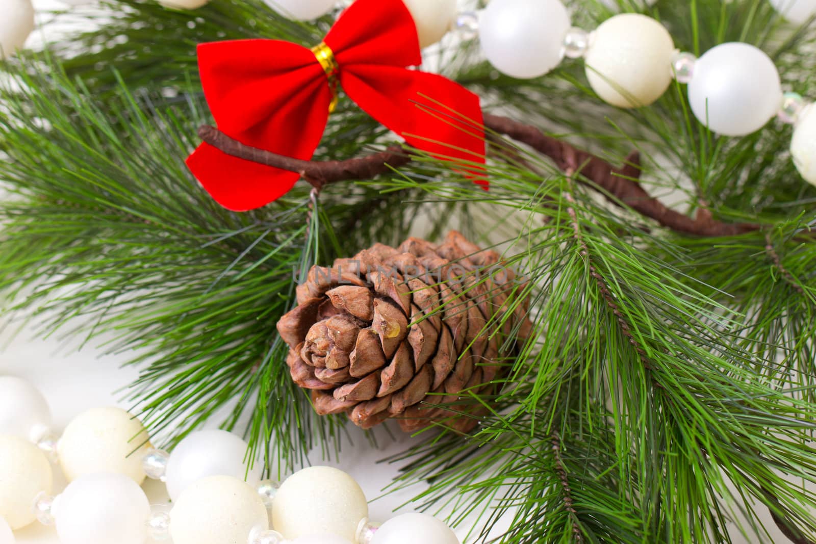 Cone and christmas tree isolated on white